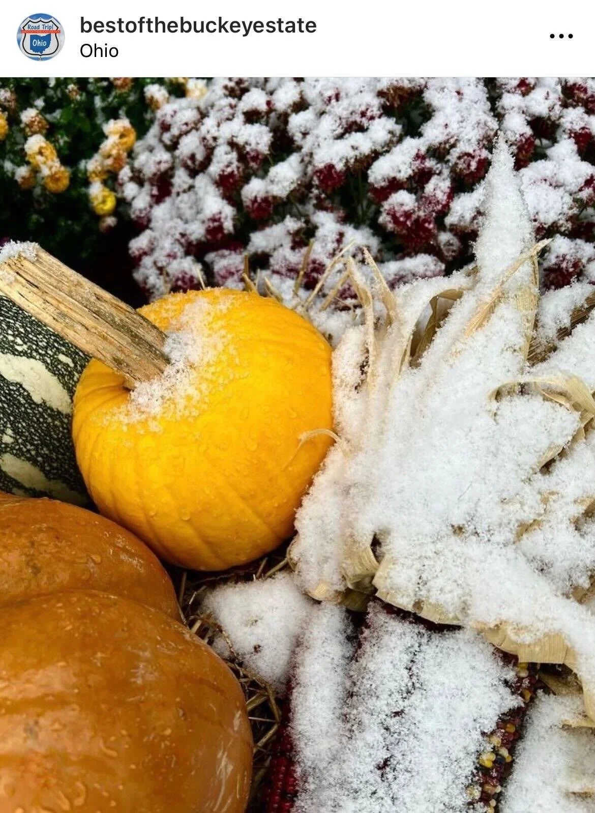 Best_of_Buckeye_State-Fall_Season-Snow-Ohio.jpeg