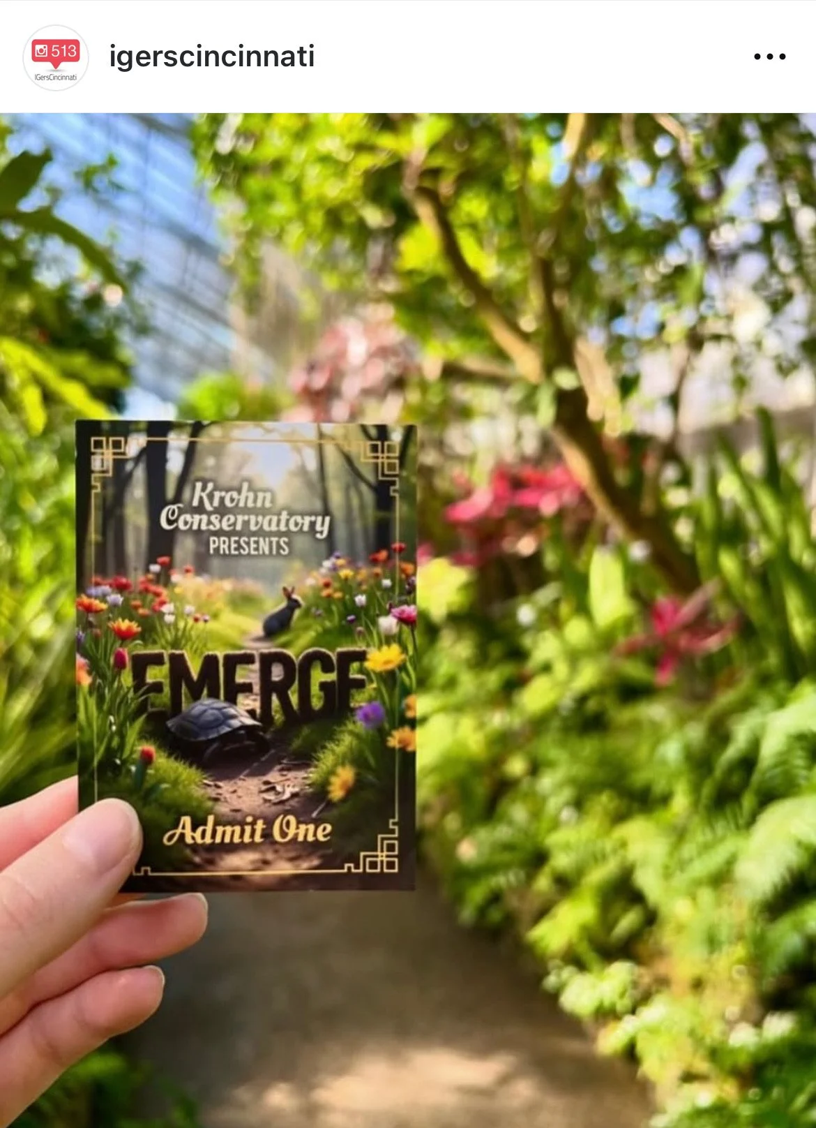 IGers_Cincinnati-Cincinnati_Parks-Krohn_Conservatory-Emerge_Spring_Show.jpeg