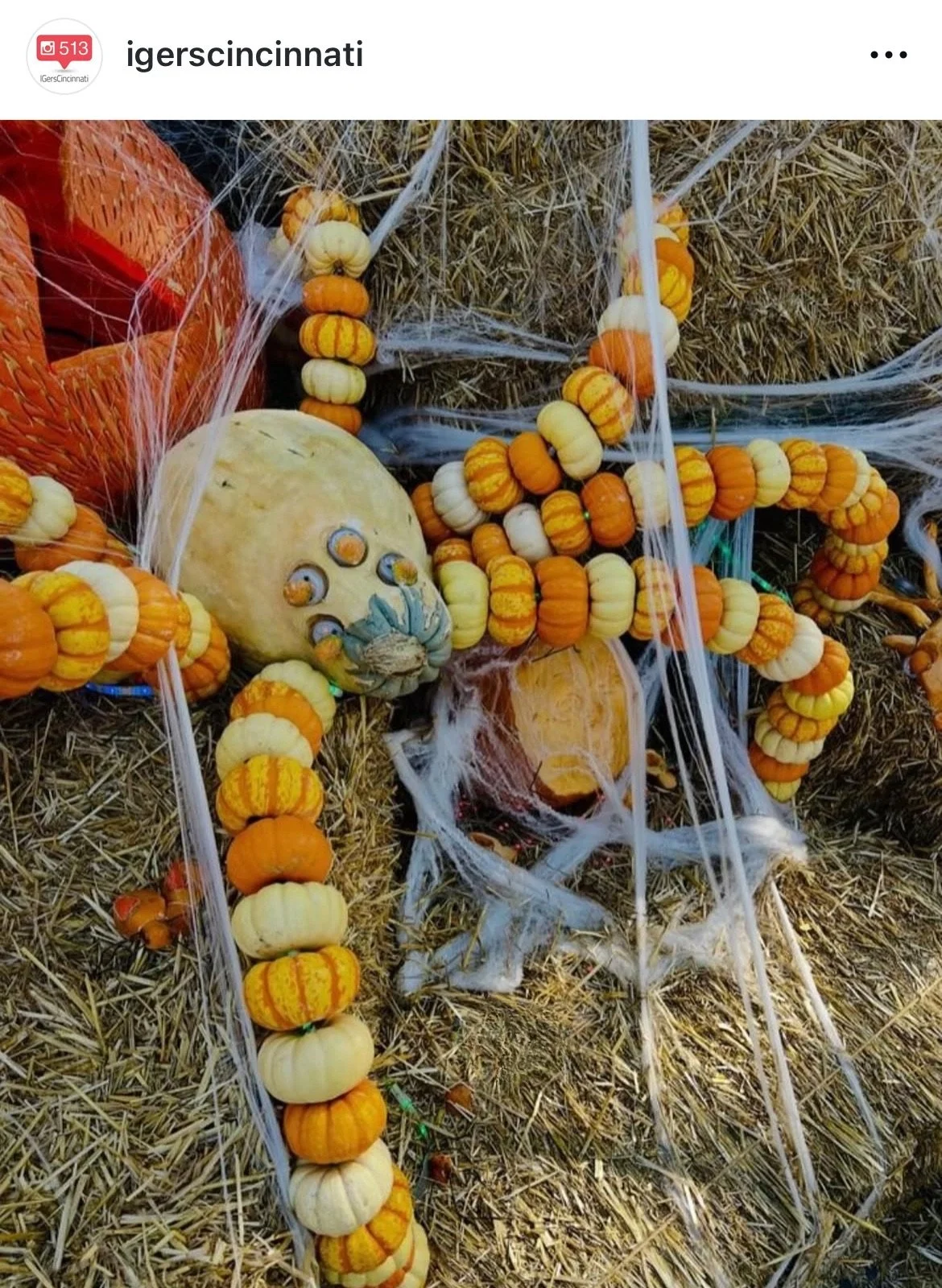 IGers_Cincinnati-Hamilton_Ohio-Operation_Pumpkin_Event_1.jpeg