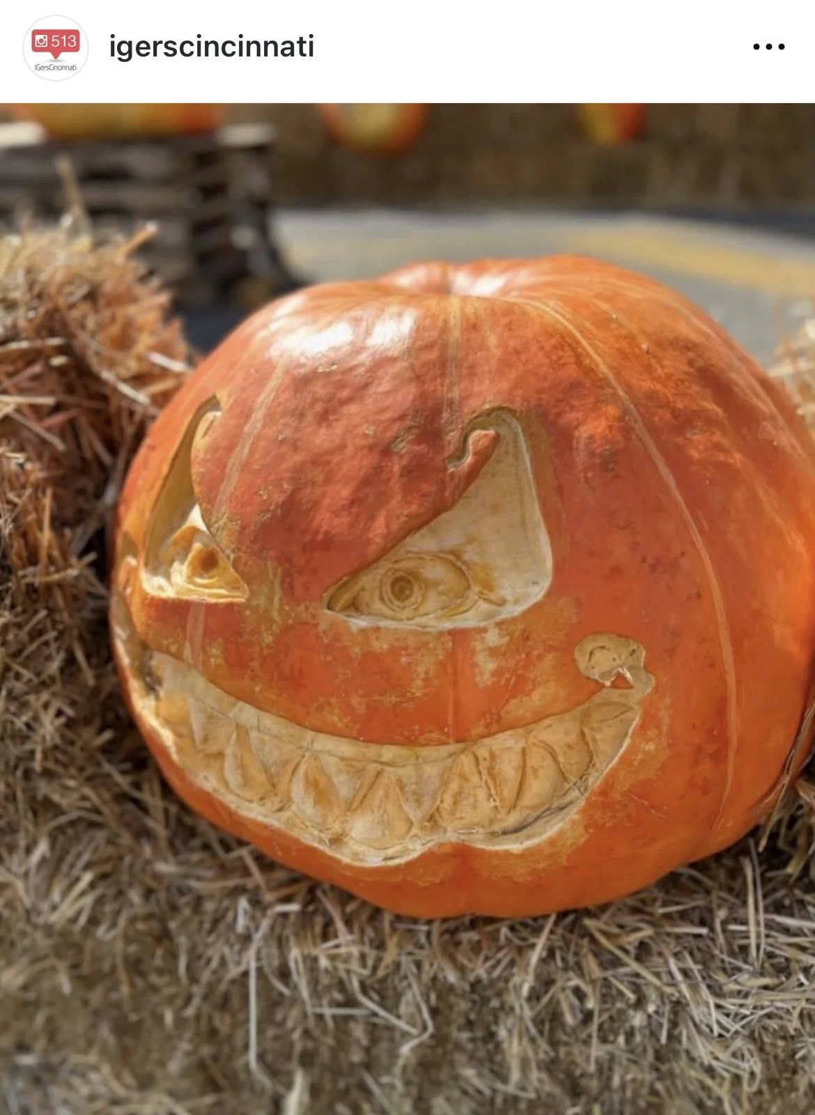 IGers_Cincinnati-Hamilton_Ohio-Operation_Pumpkin_Event_2.jpeg