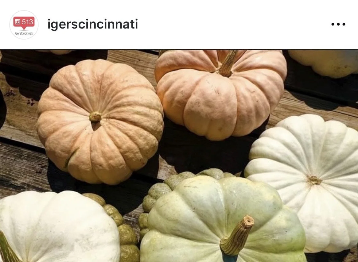 IGers_Cincinnati-Pumpkins-Hidden_Valley_Orchard-Fall_Season.jpeg