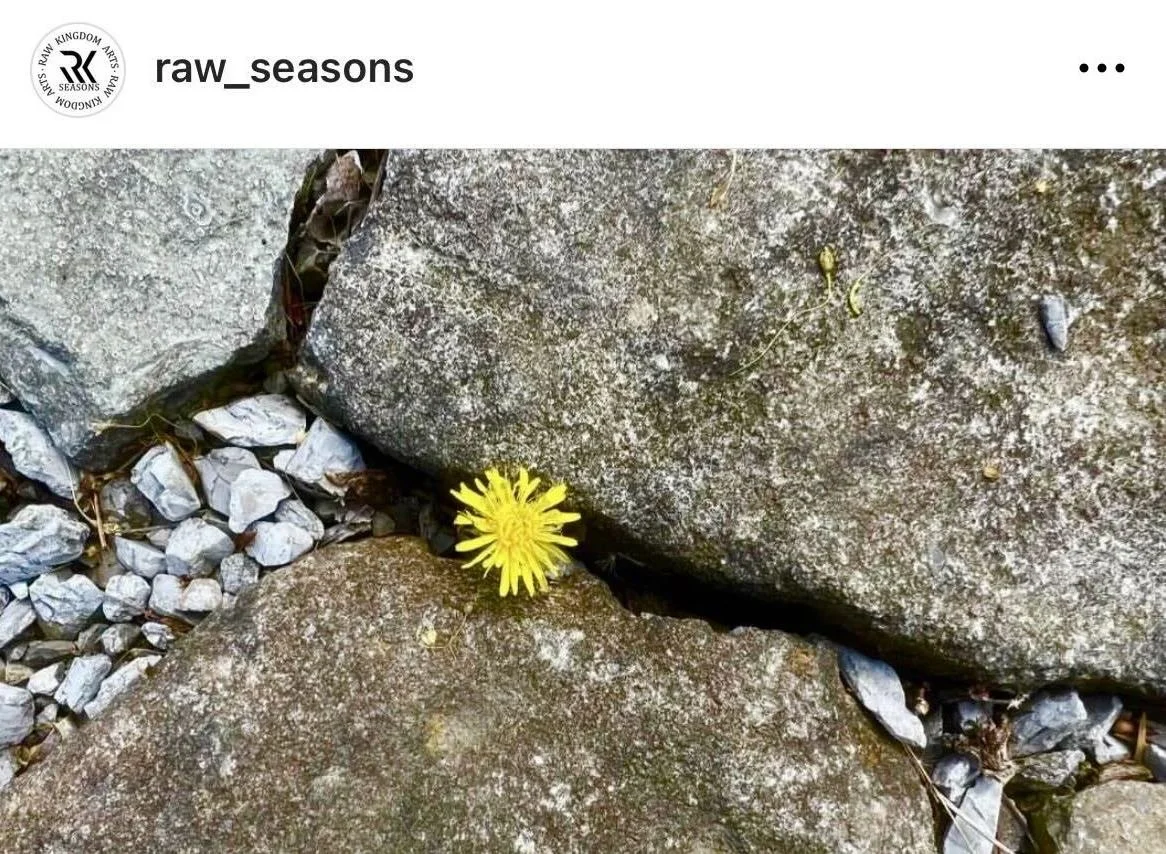 Raw_Community-Seasons-Spring-Cincinnati_Nature_Center.jpeg