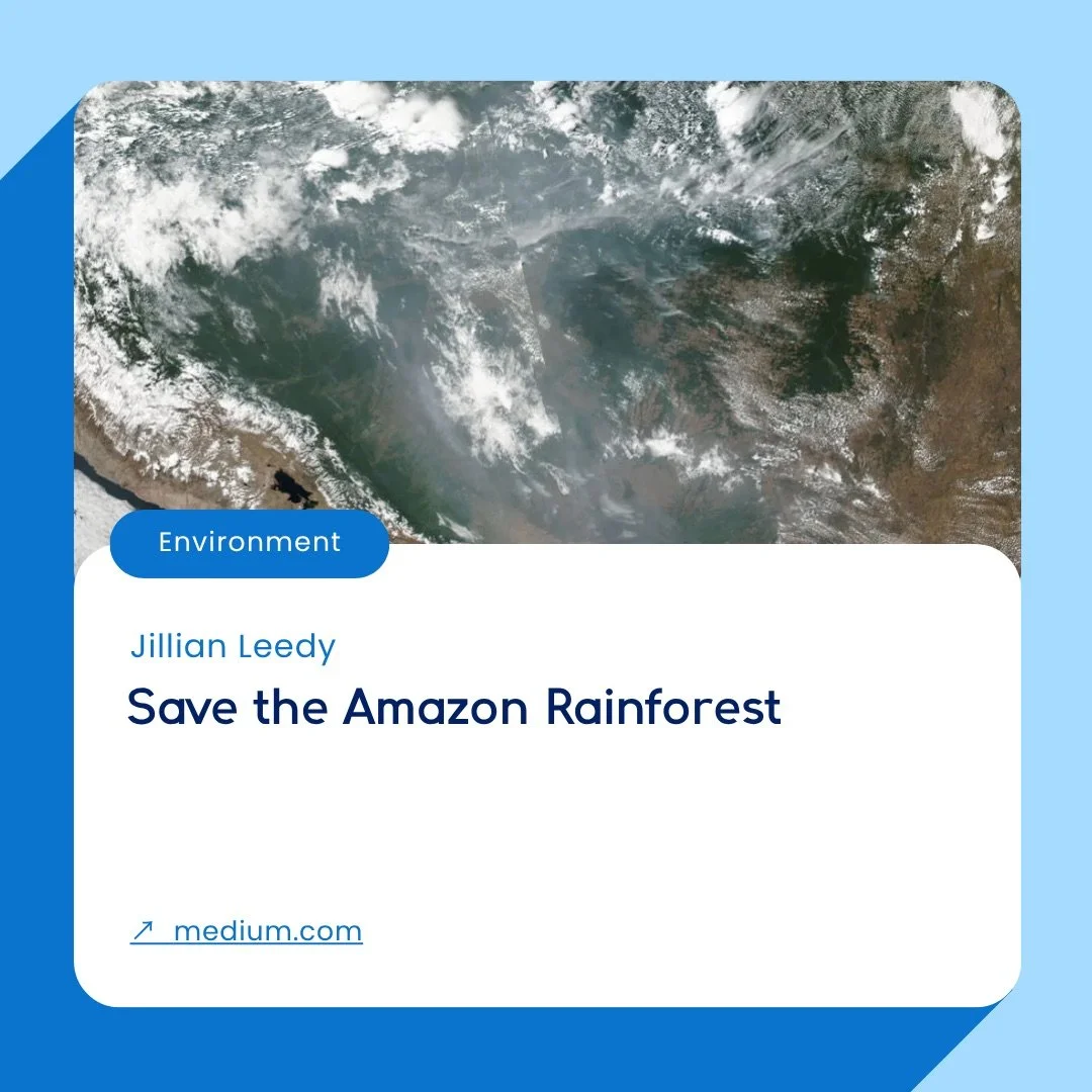 Medium-Amazon_Rainforest-Environment.jpeg