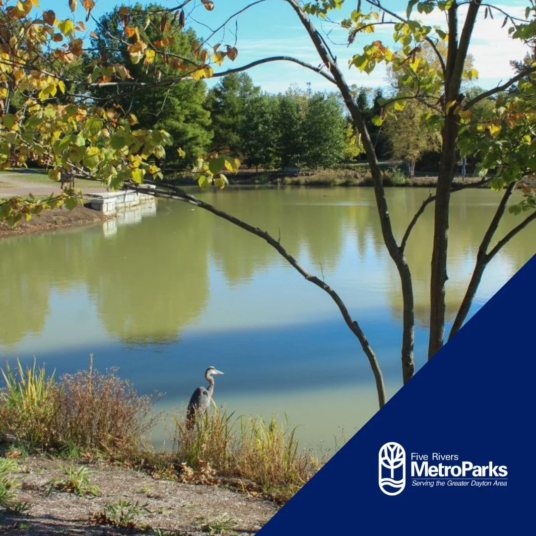 Cox_Arboretum-Five_Rivers_Metroparks-Dayton-2.jpeg
