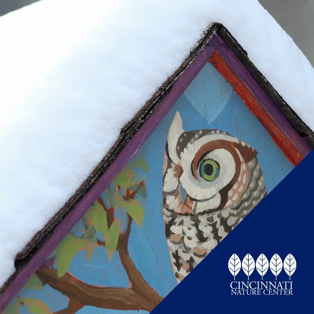 Snow_Day-Cincinnati_Nature_Center.jpeg