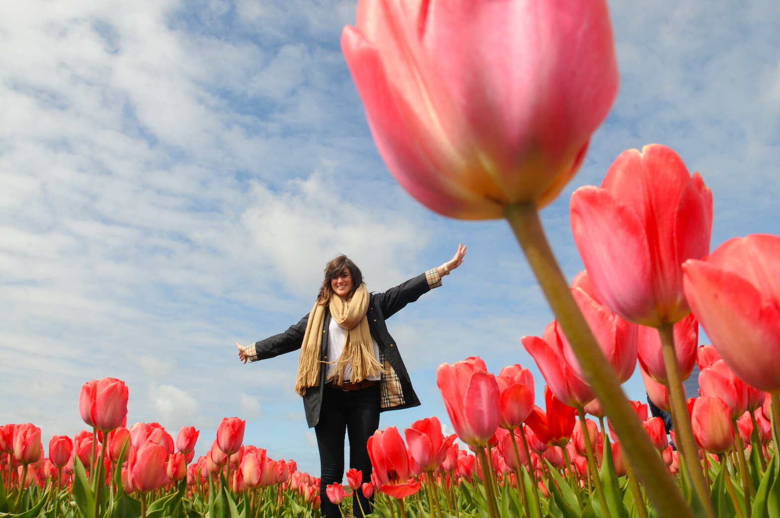 Enjoying the tulips in the Netherlands