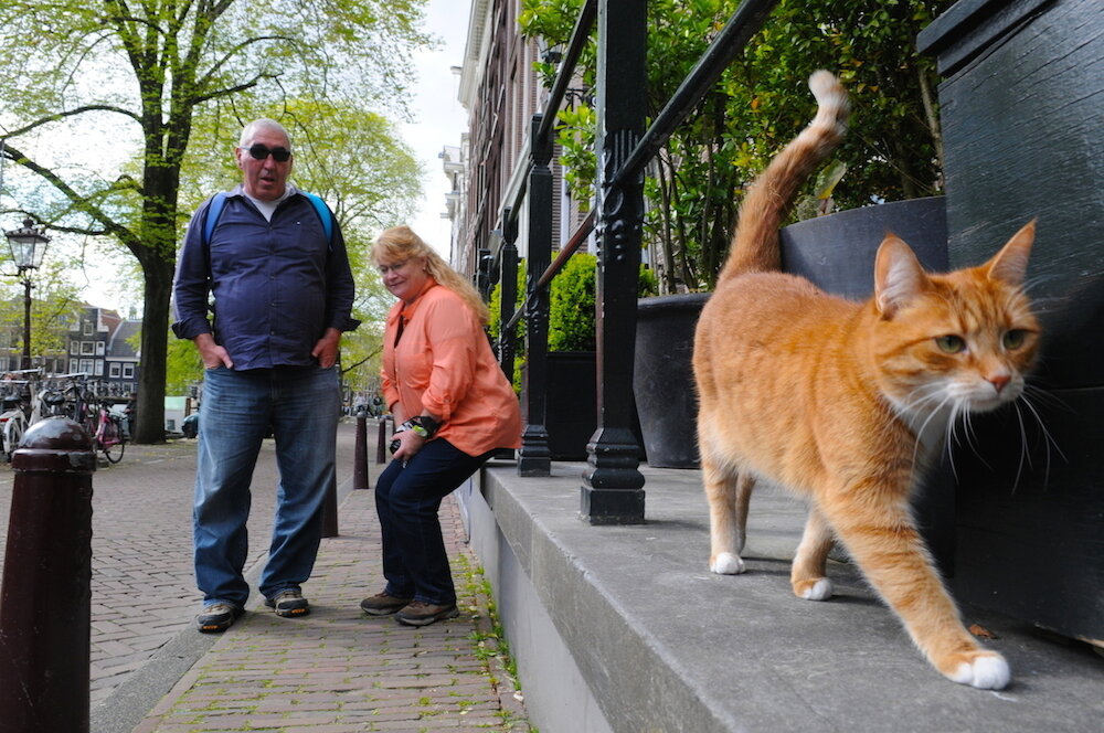 tourists in amsterdam with cat.jpeg