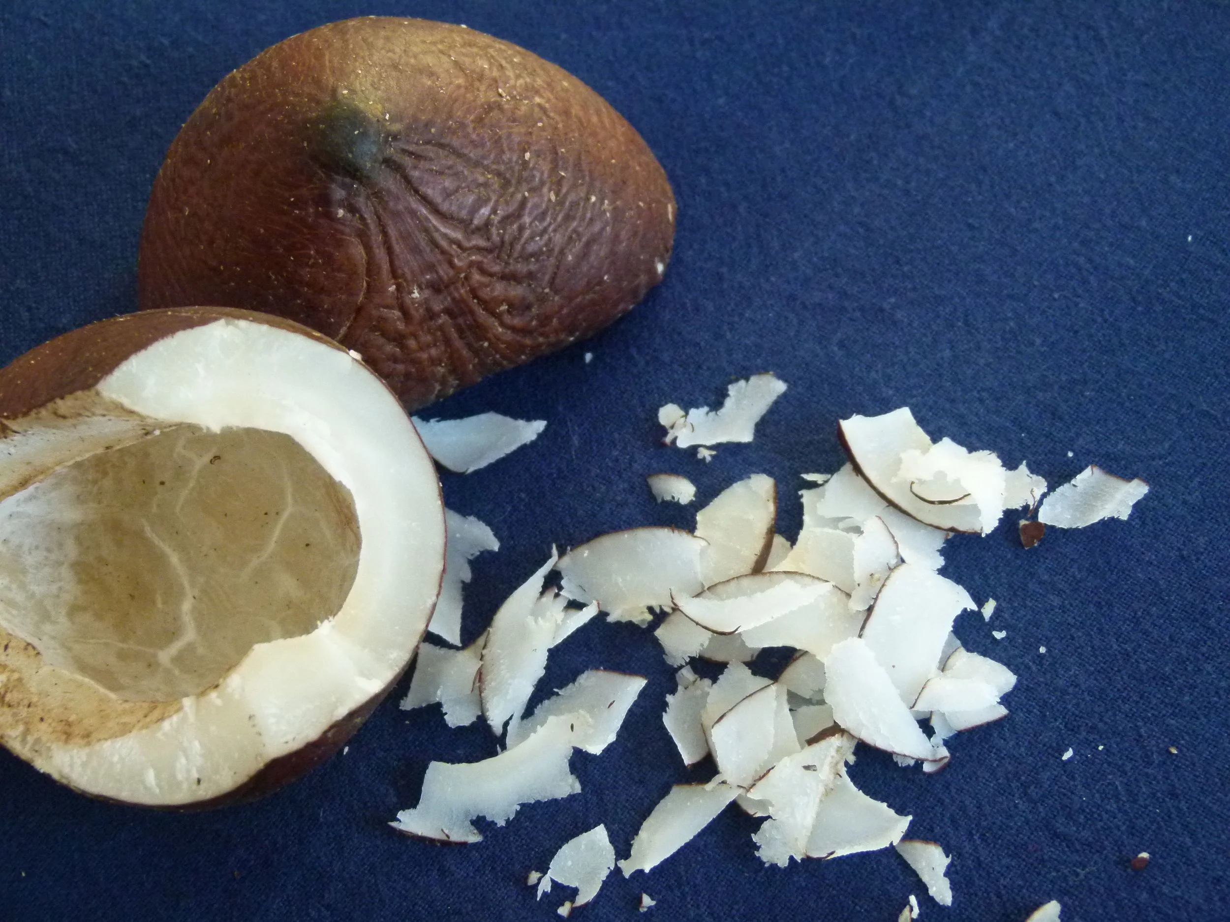 Virutas de coco desecado