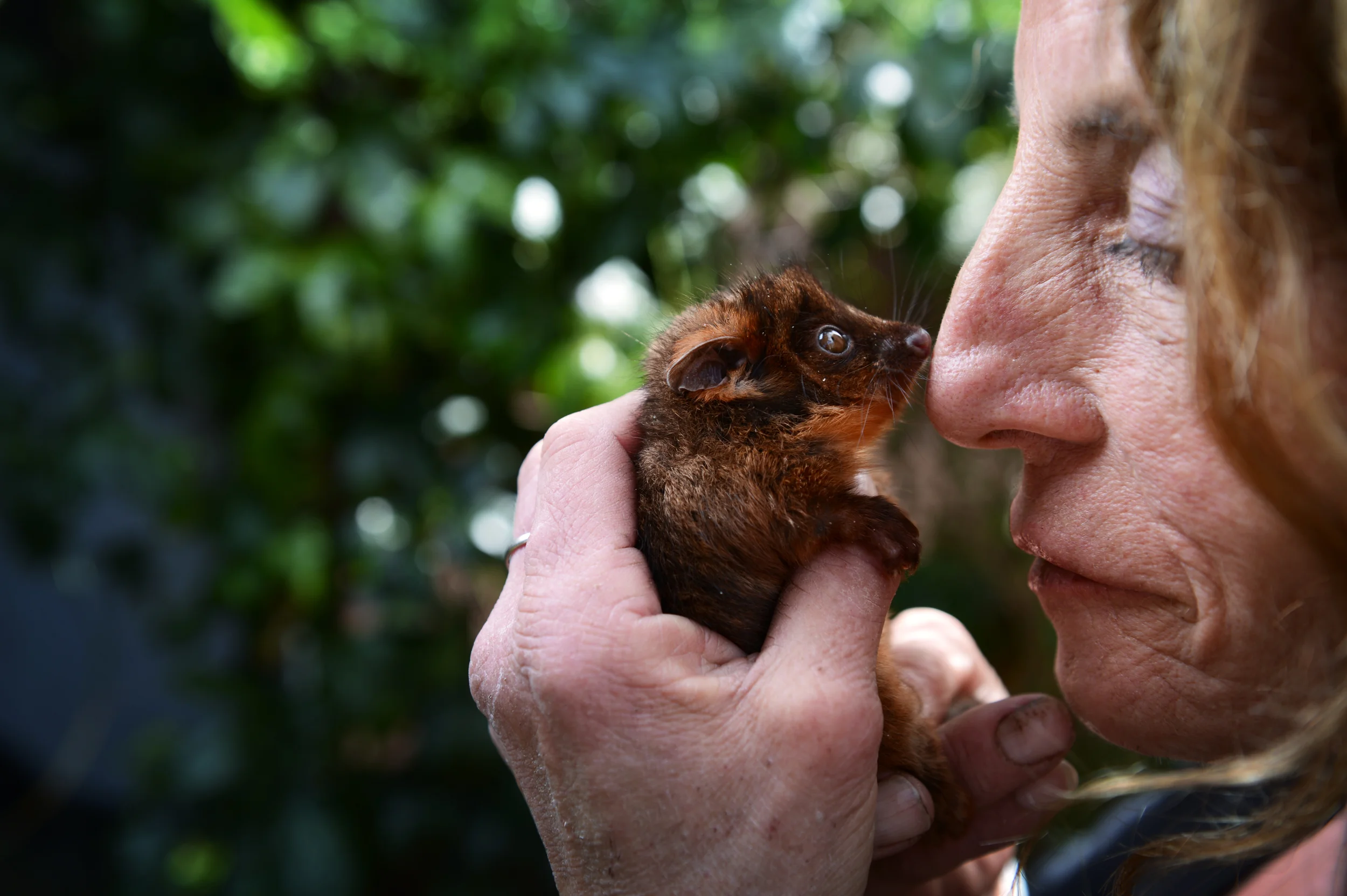 N11WG221 WILDLIFE VOLUNTEER-GG304130-110600.JPG