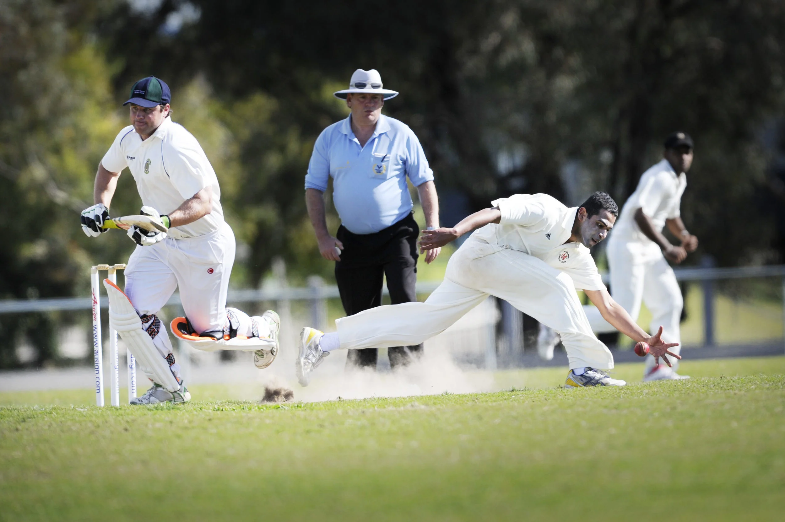 S20DV210 CRICKET-GG224316-313700.JPG