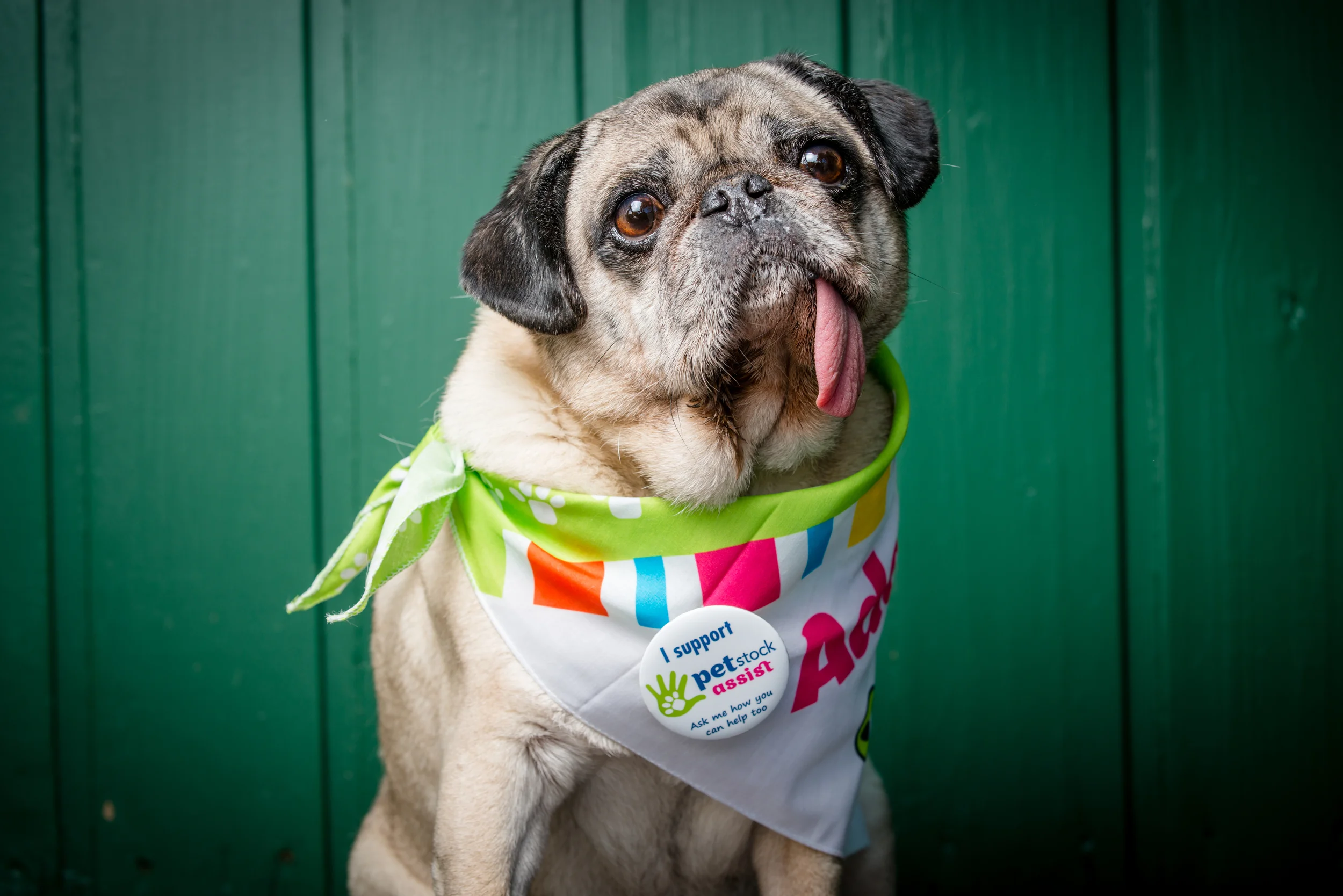 071-PetStock animal carers-20150812_DSC_0690.jpg