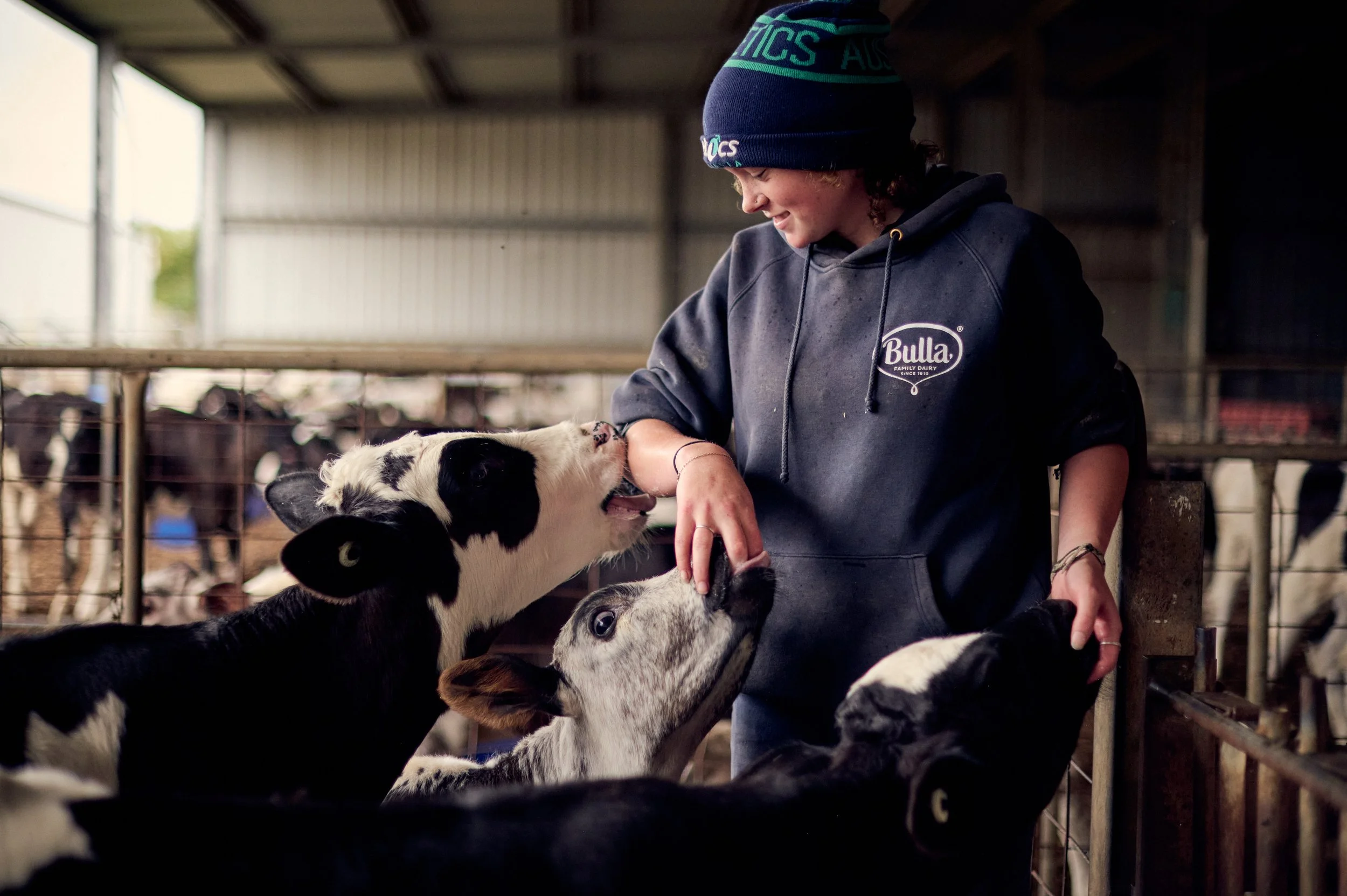 A woman smiling and interacting with several young calves in a barn, some calves are reaching towards her, and she is wearing a dark hoodie and a knit hat.