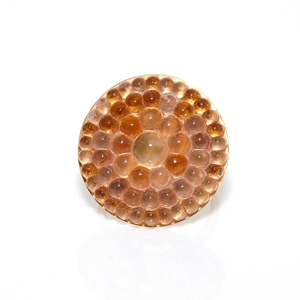 Jelly_001.jpg