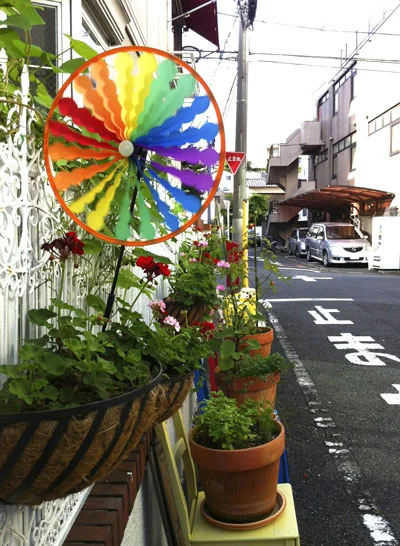Cute flower boxes and a pinwheel that caught my eye 
