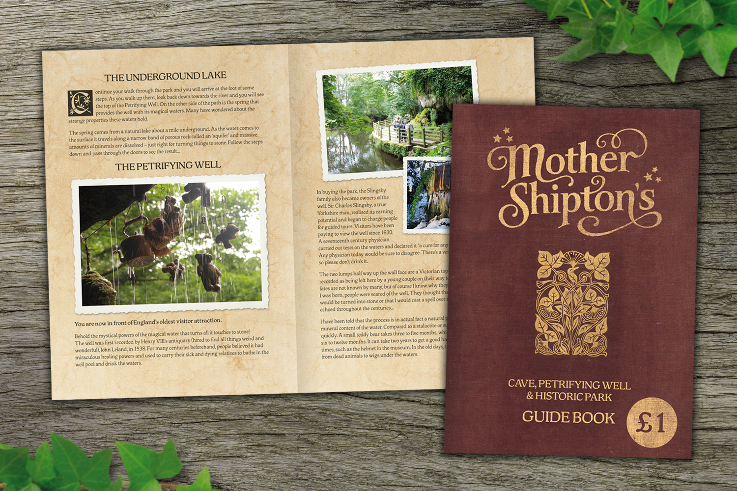 MotherShipton's_GuideBook.jpg