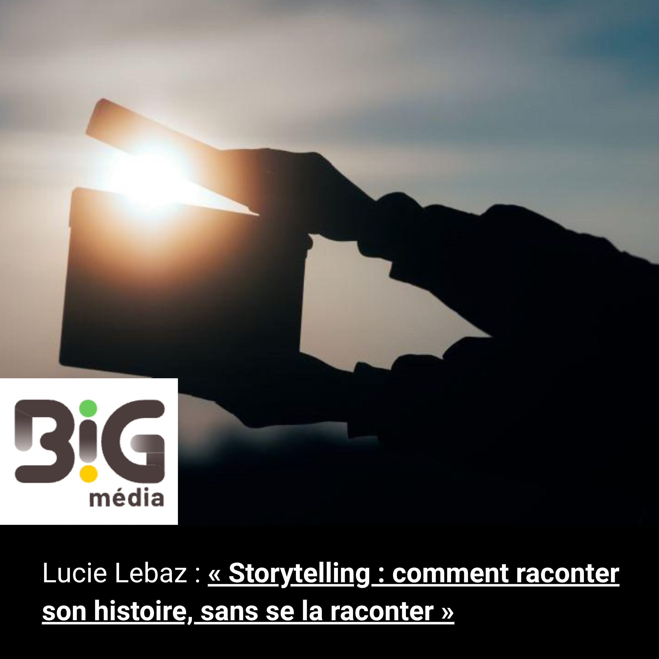 Storytelling : comment raconter son histoire, sans se la raconter par Lucie Lebaz