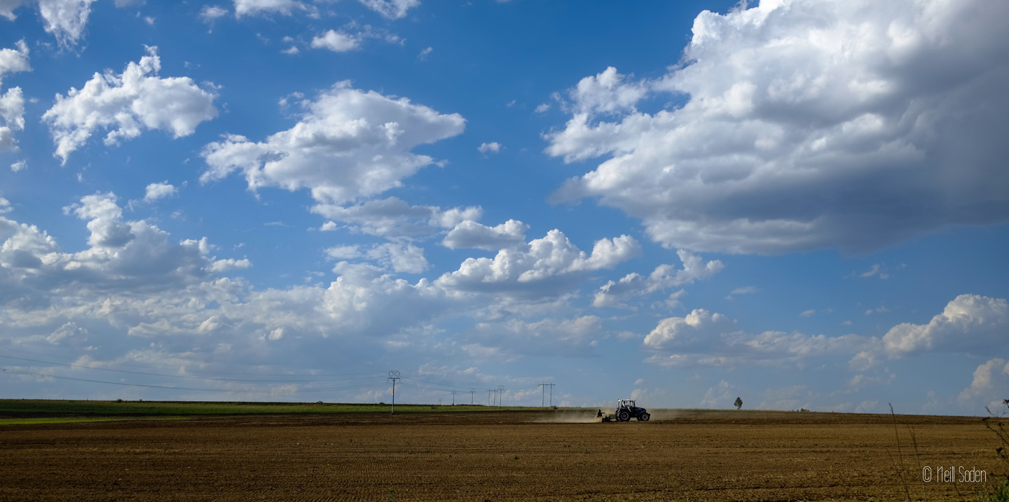DSCF5993.jpg