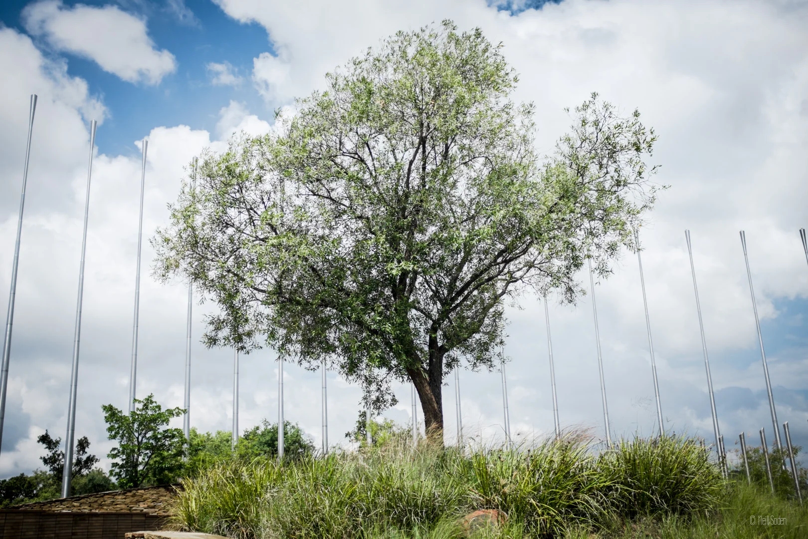 Freedom Park