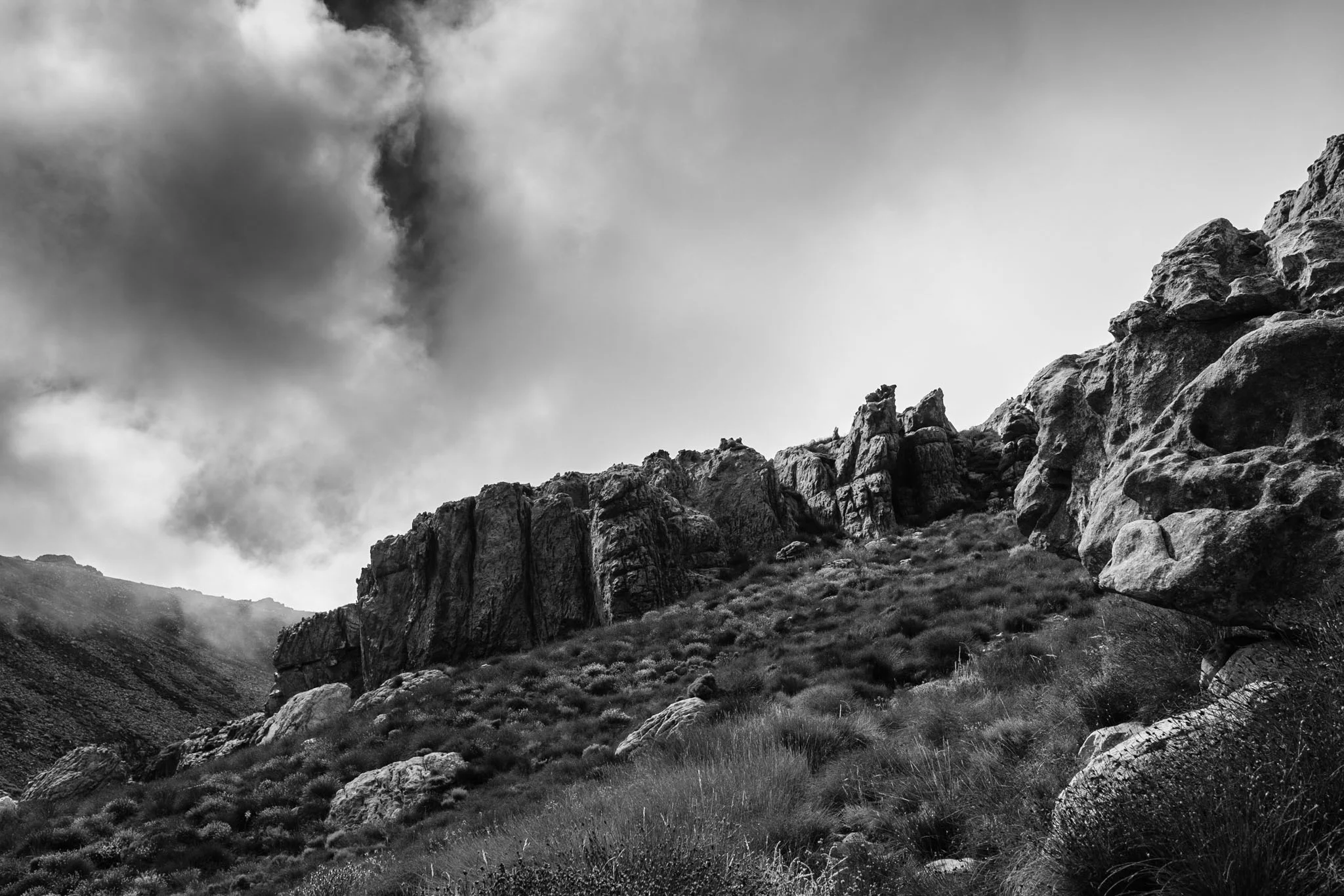 DSCF1813.jpg