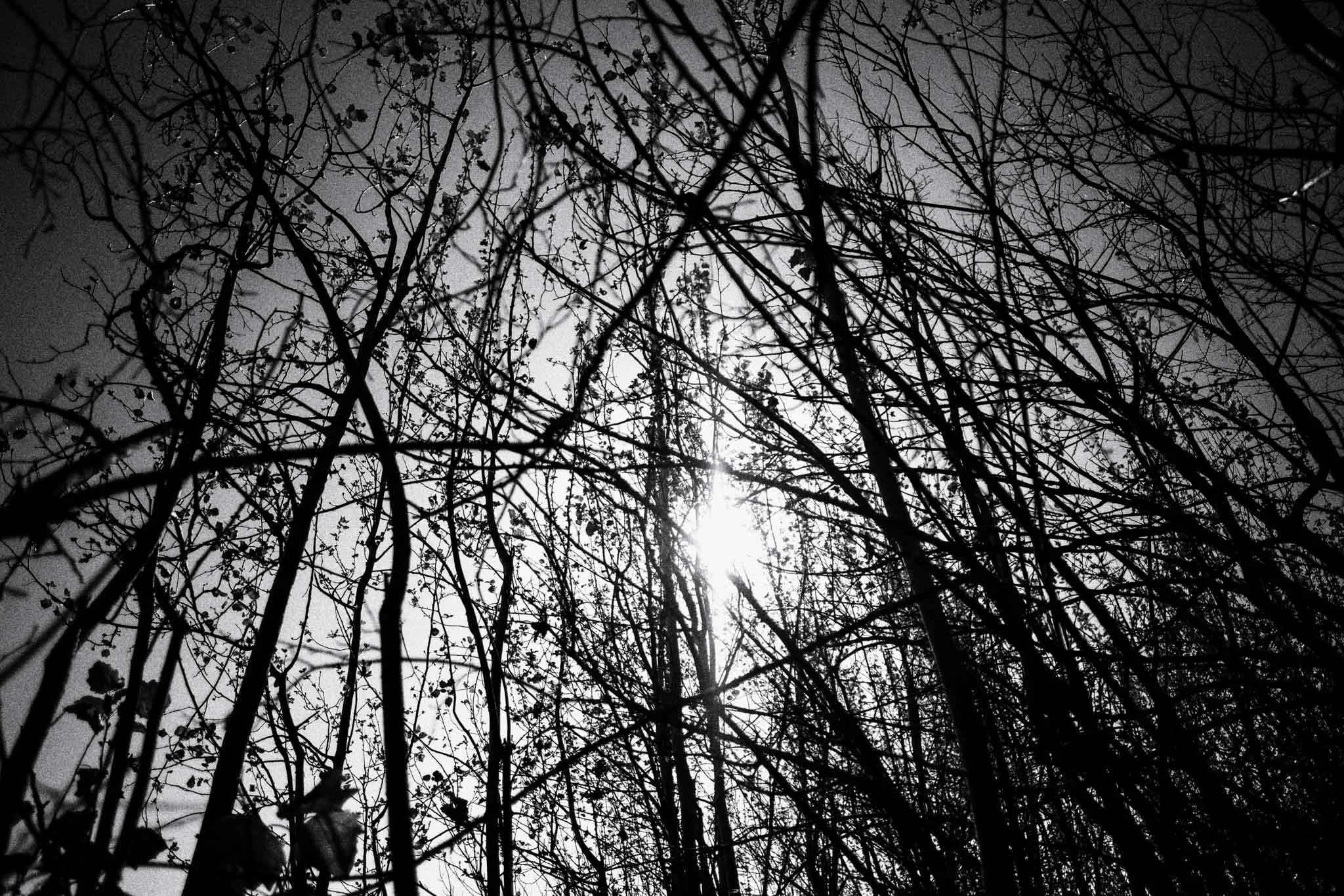 DSCF0028-Edit.jpg