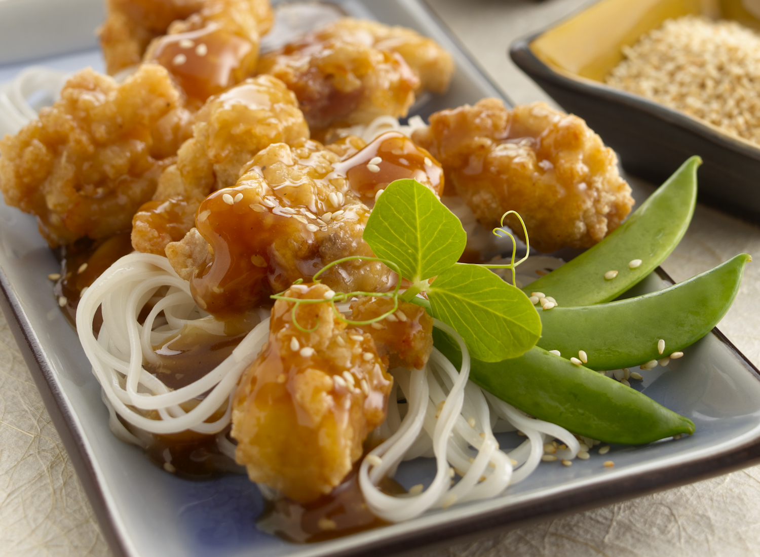 Asian Chicken Strips | Tony Kubat Photography