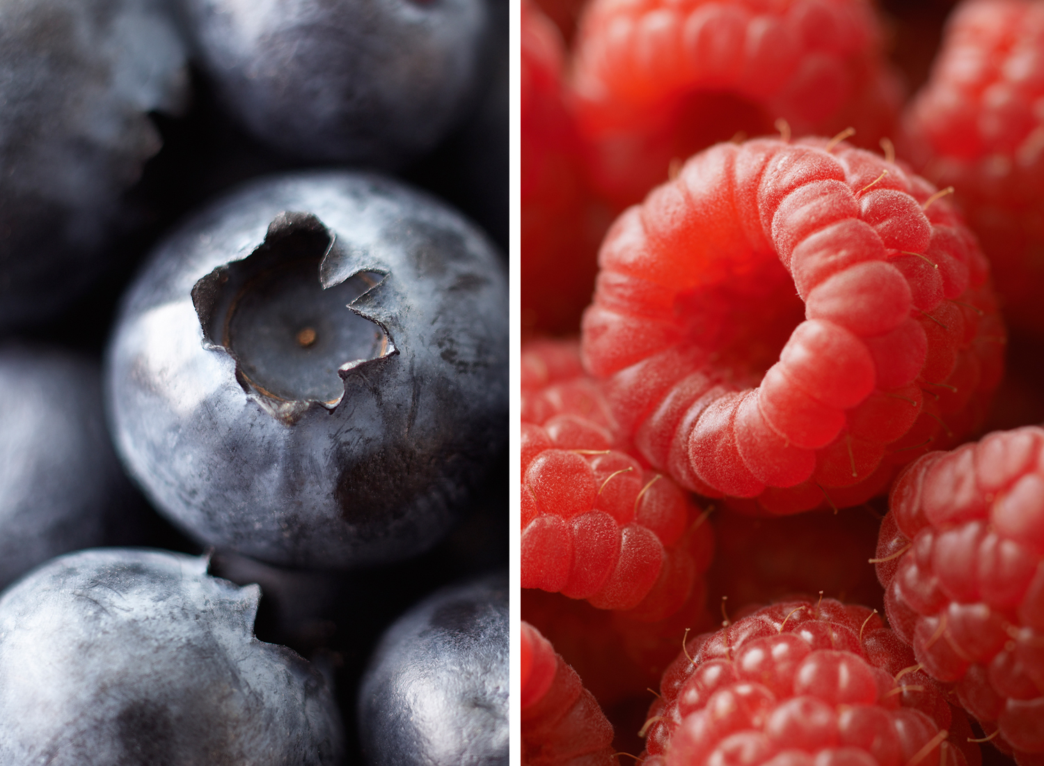 Blueberries And Raspberries | Tony Kubat Photography