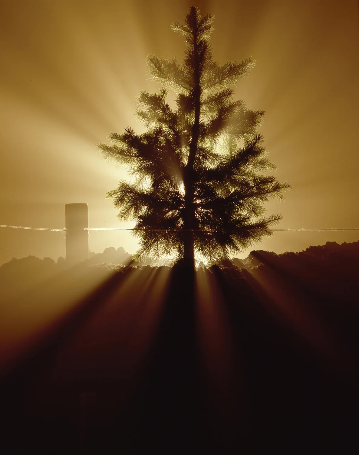 Tony Kubat Photography
