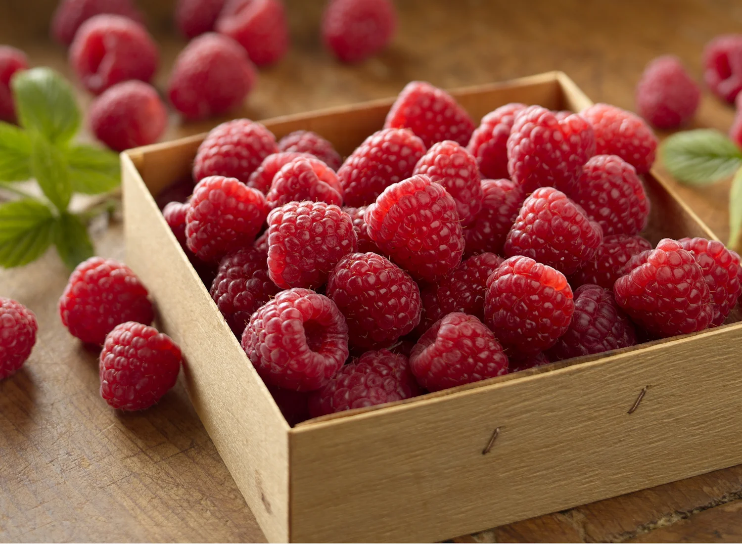 Fresh Raspberries | Tony Kubat Photography