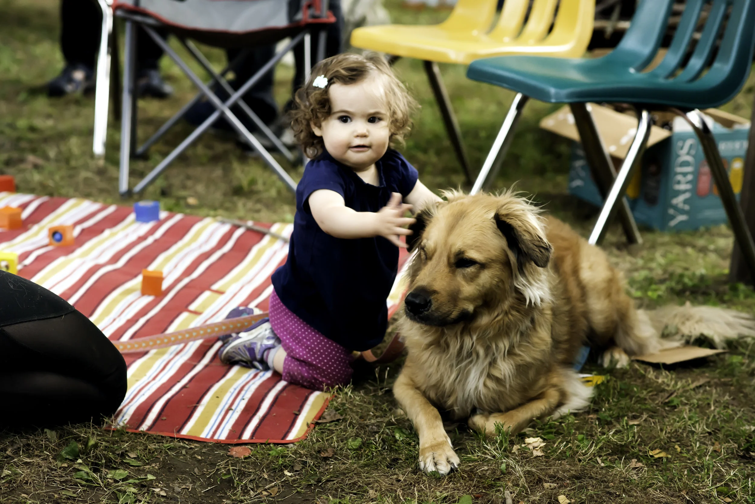 dulcie with hound.jpg