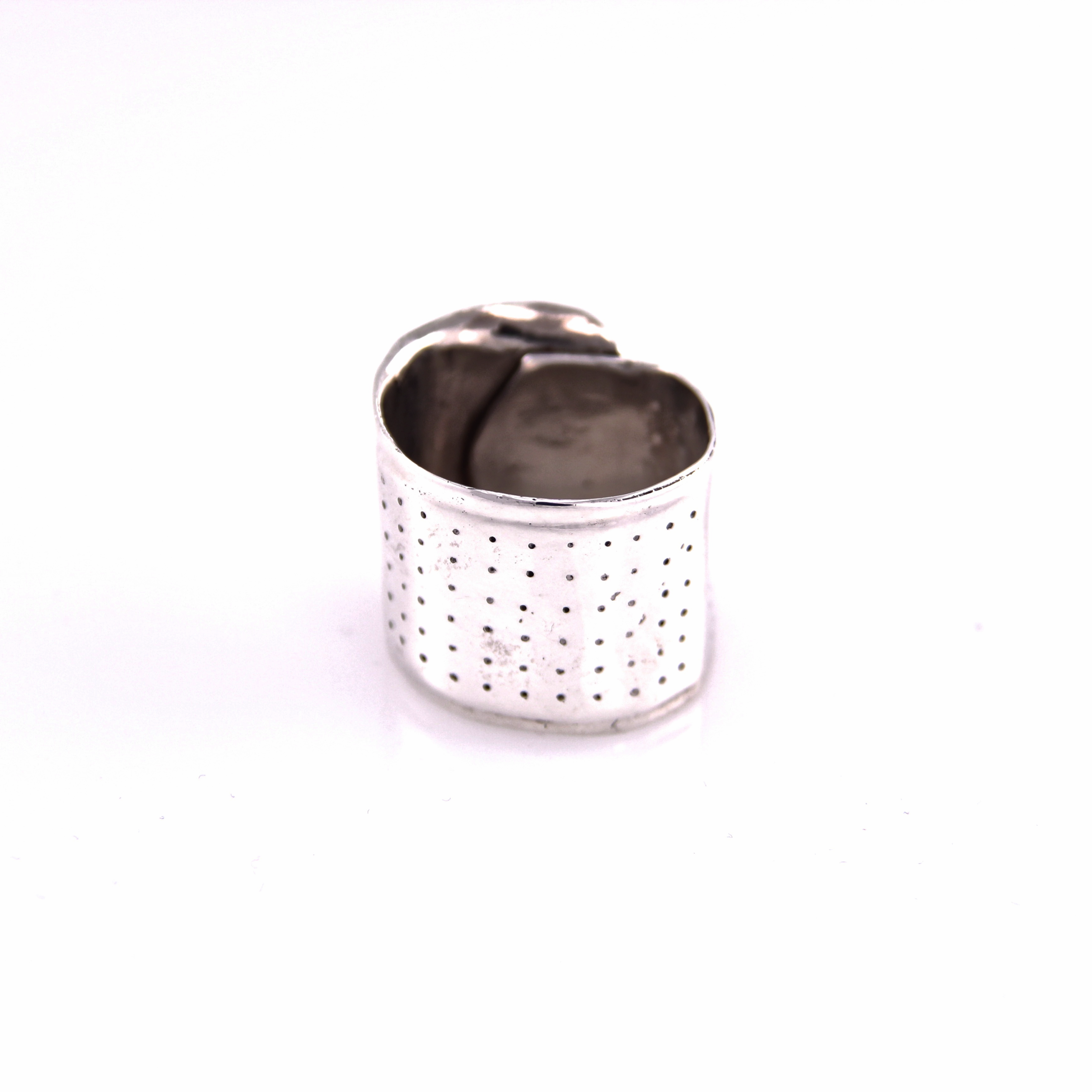Ring F S.jpg