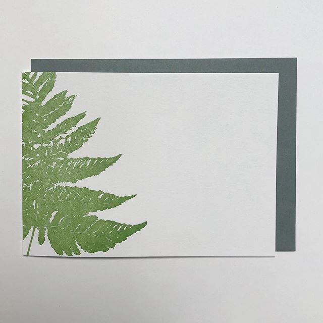 Letterpress Fern Notecard sets are available on the Etsy shop! These have been sold out for a few weeks, but this best selling card pack is back 🌿 #letterpress #fern #woodland #appalachia