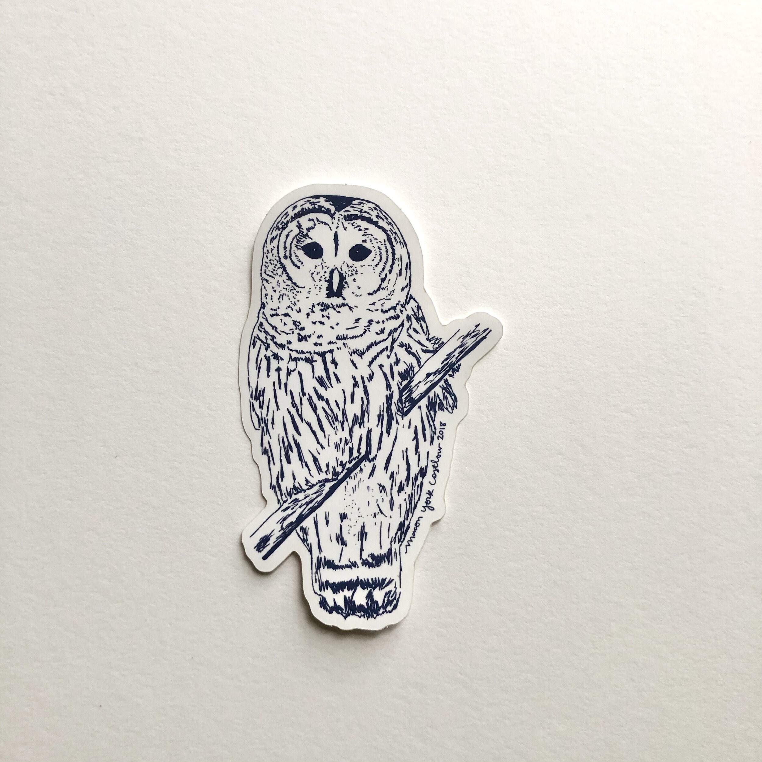 Owl.jpeg