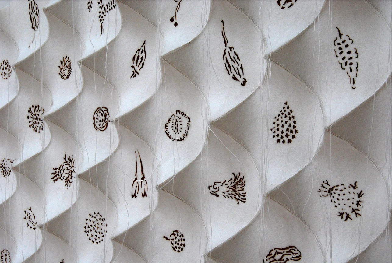 'boohwa' detail