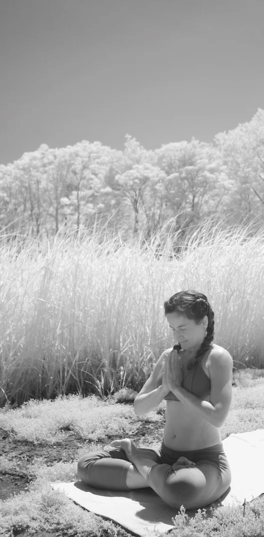 DSC_0118 CROPPED.jpg