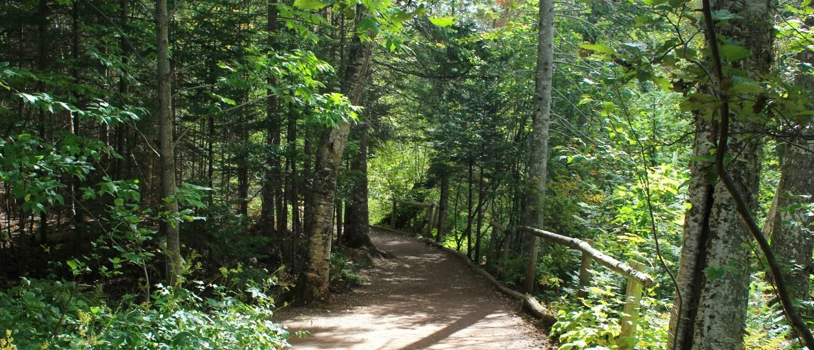 fathers day trails.jpg