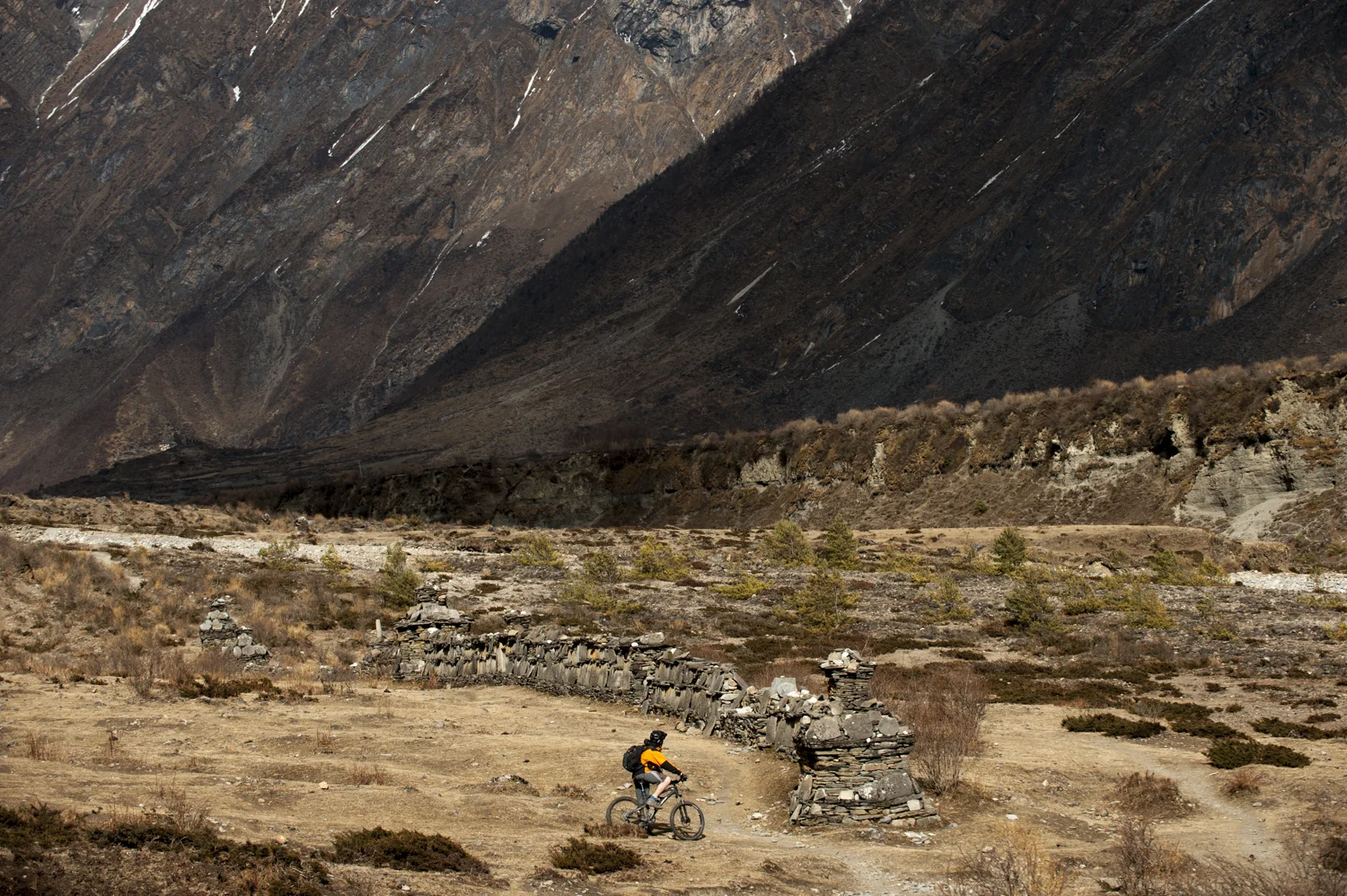_DSC8953.jpg