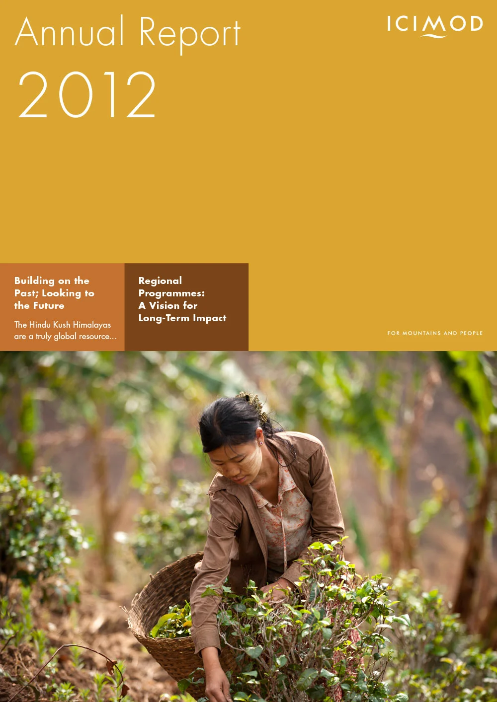 Annual Report cover 2012