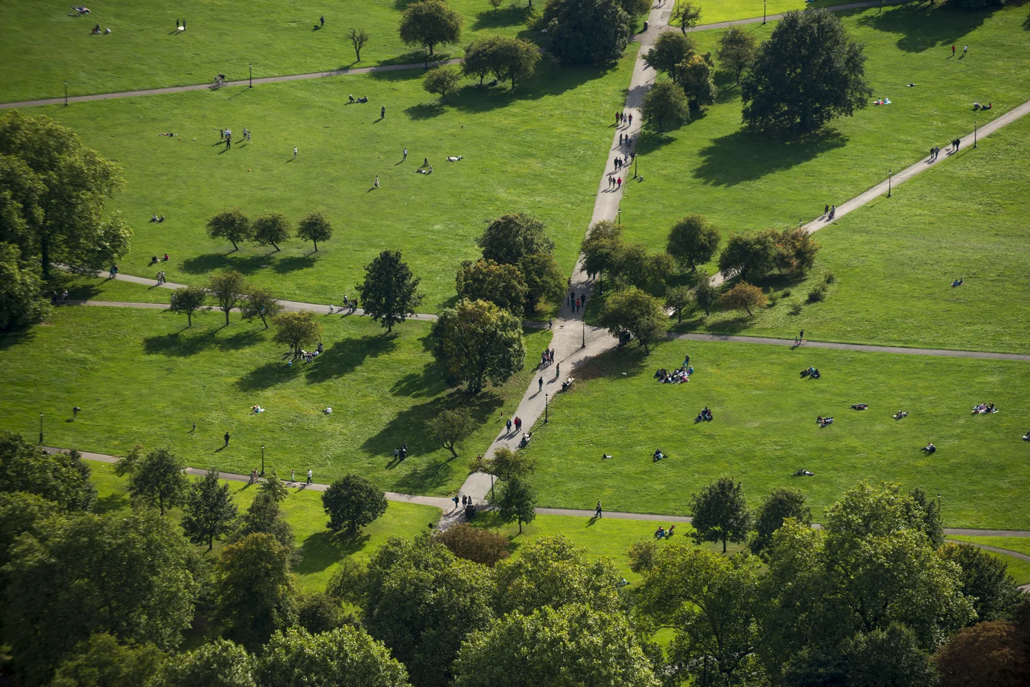  Primrose Hill  London    