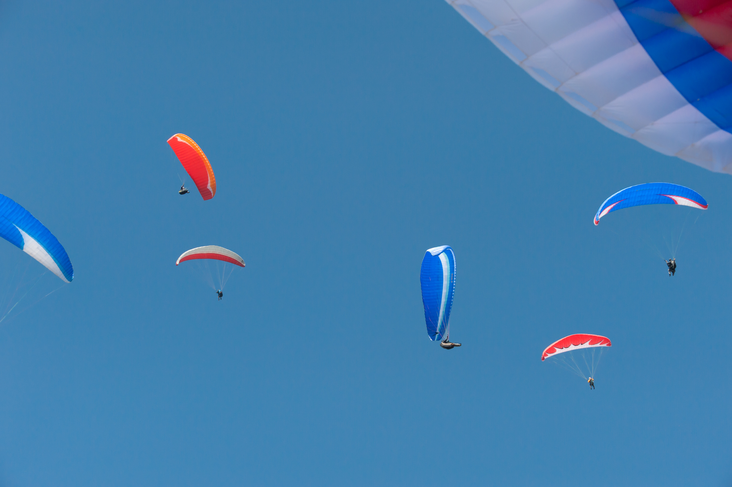 Paragliders _DSC6874.jpg