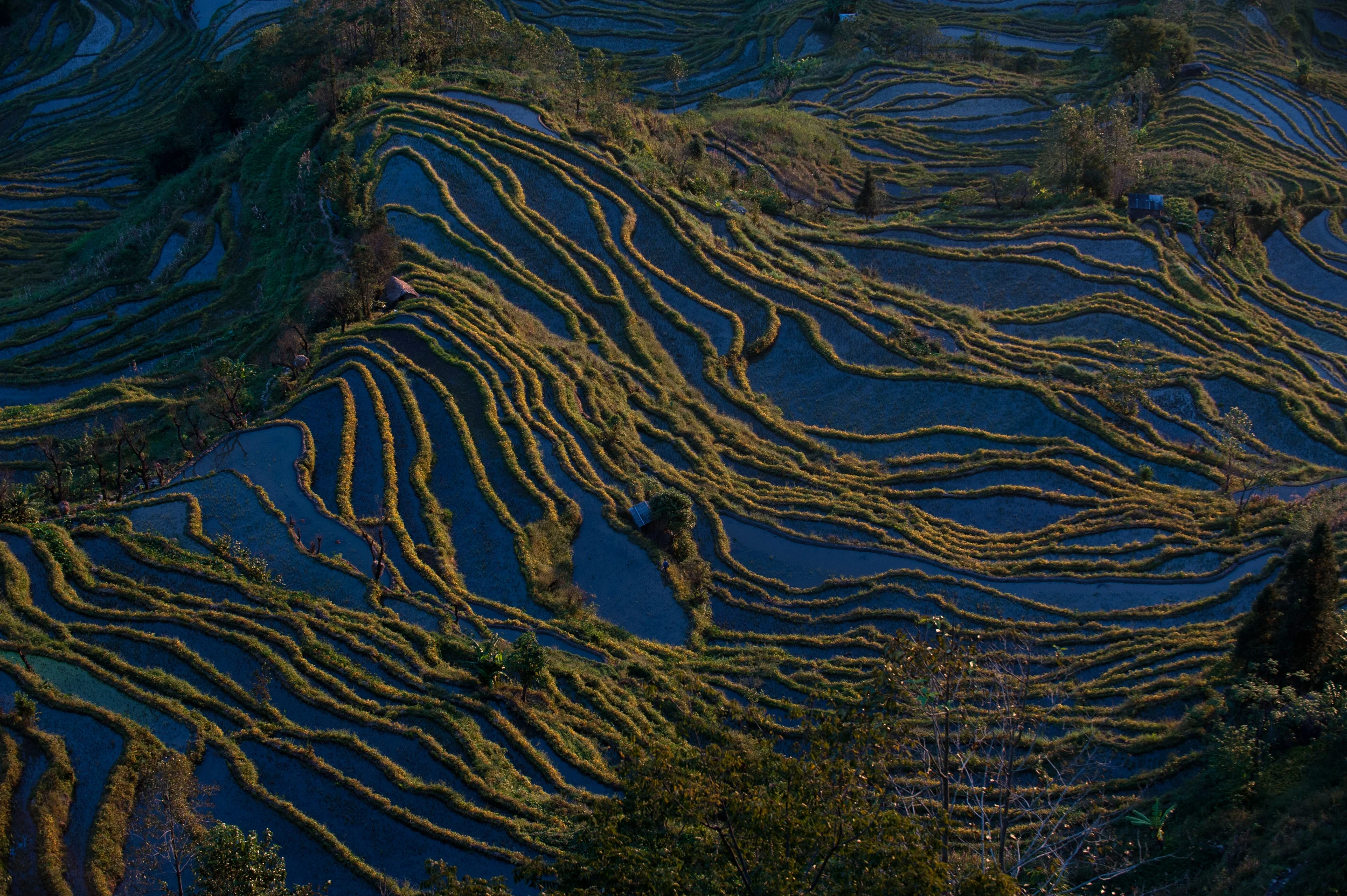 Yuanyang rice terraces _DSC7624.jpg