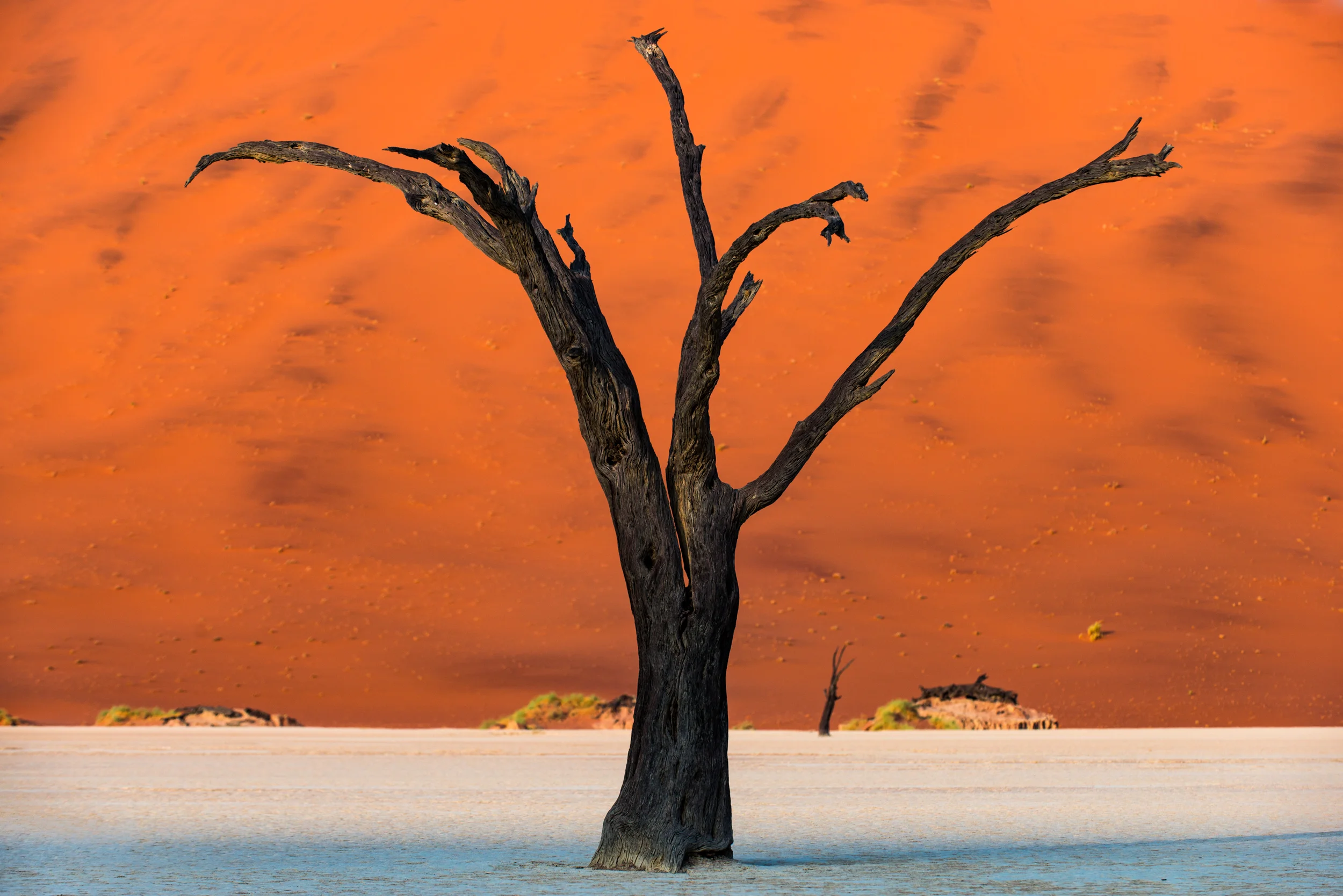 Deadvlei  Namibia desert  