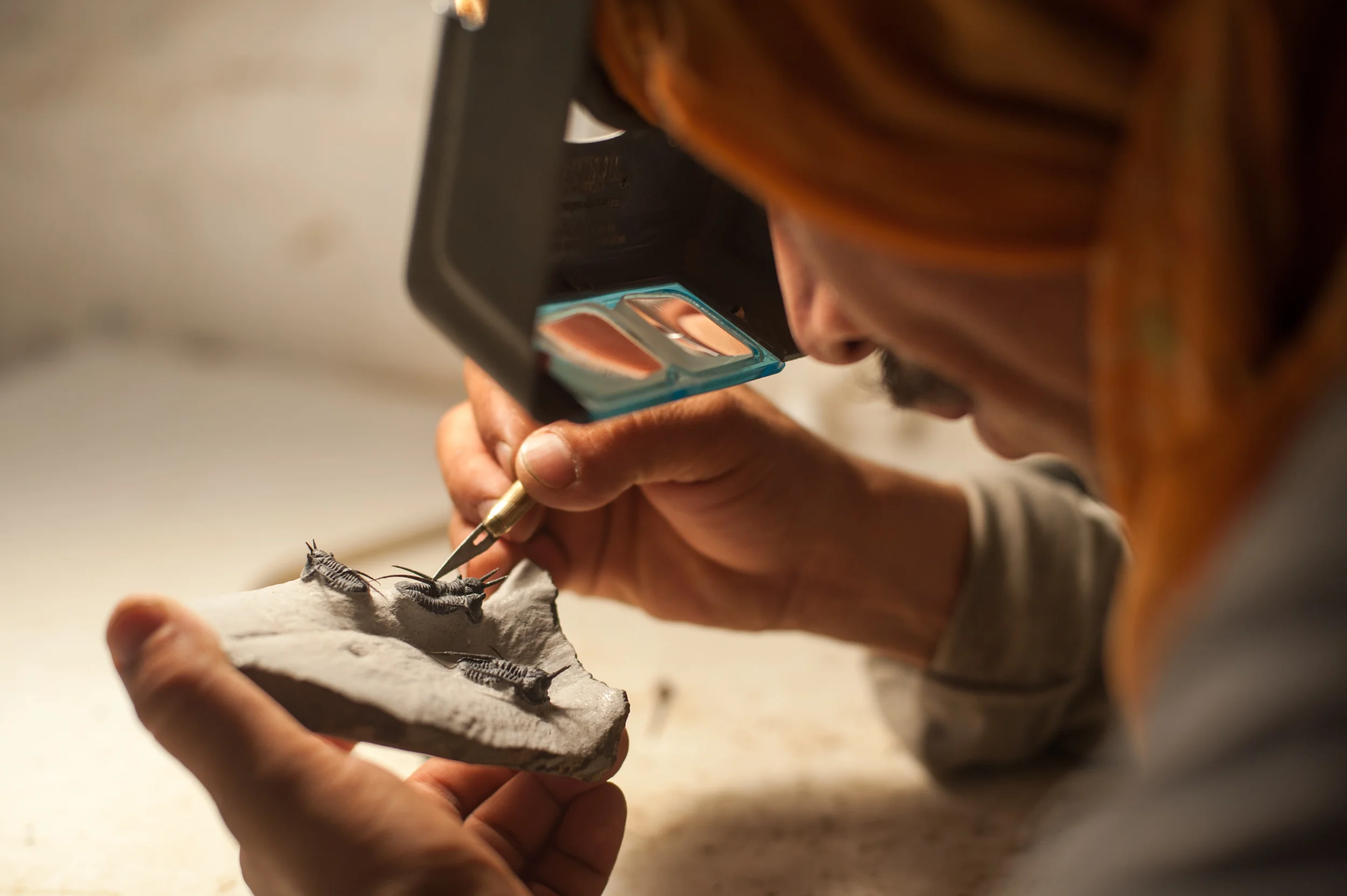 Morocco A skilled worker carefully exposes a fossilised Trilobite from the surrounding rock