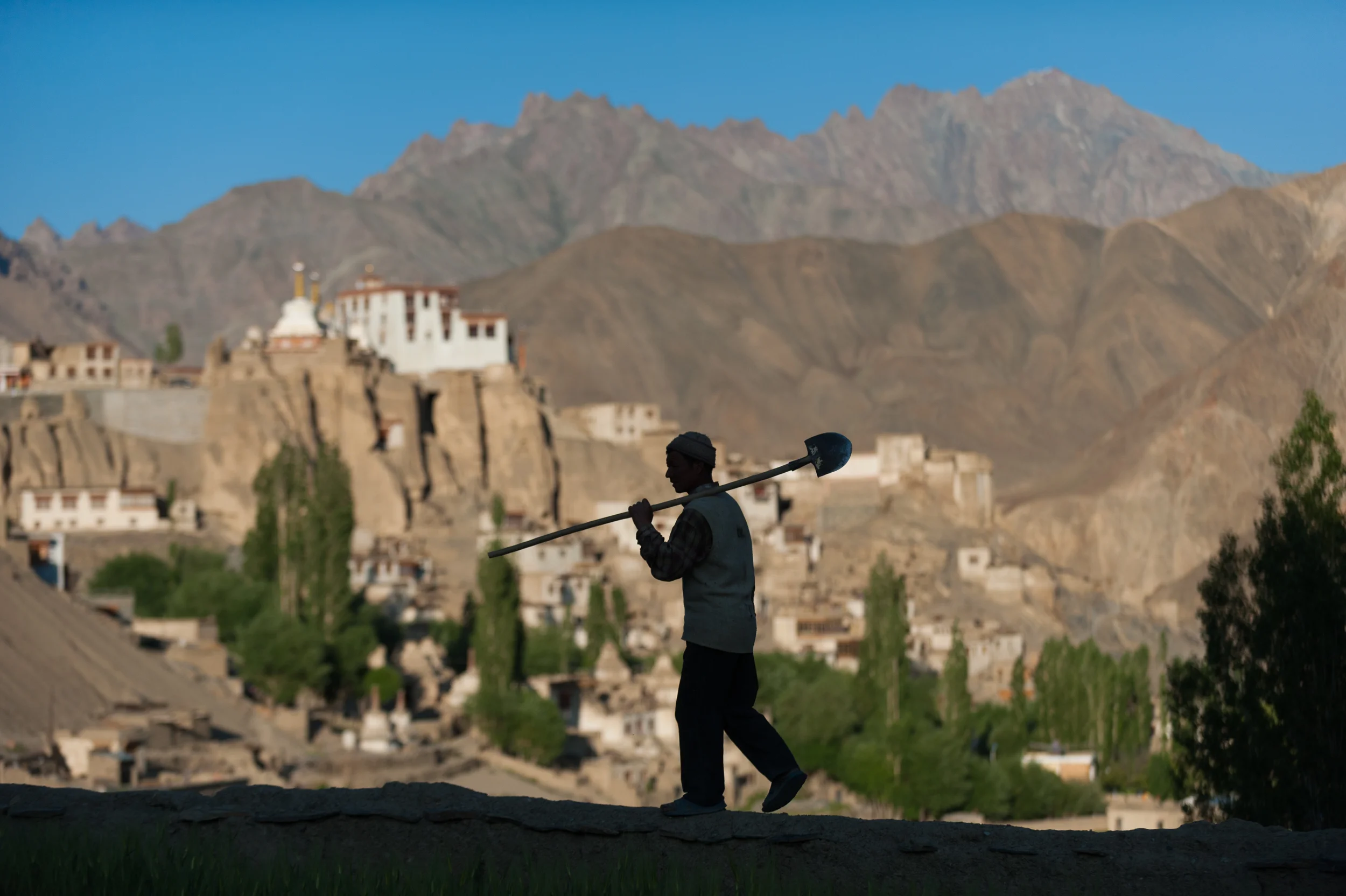 India - Ladakh A farmer comes home from the wheat fields