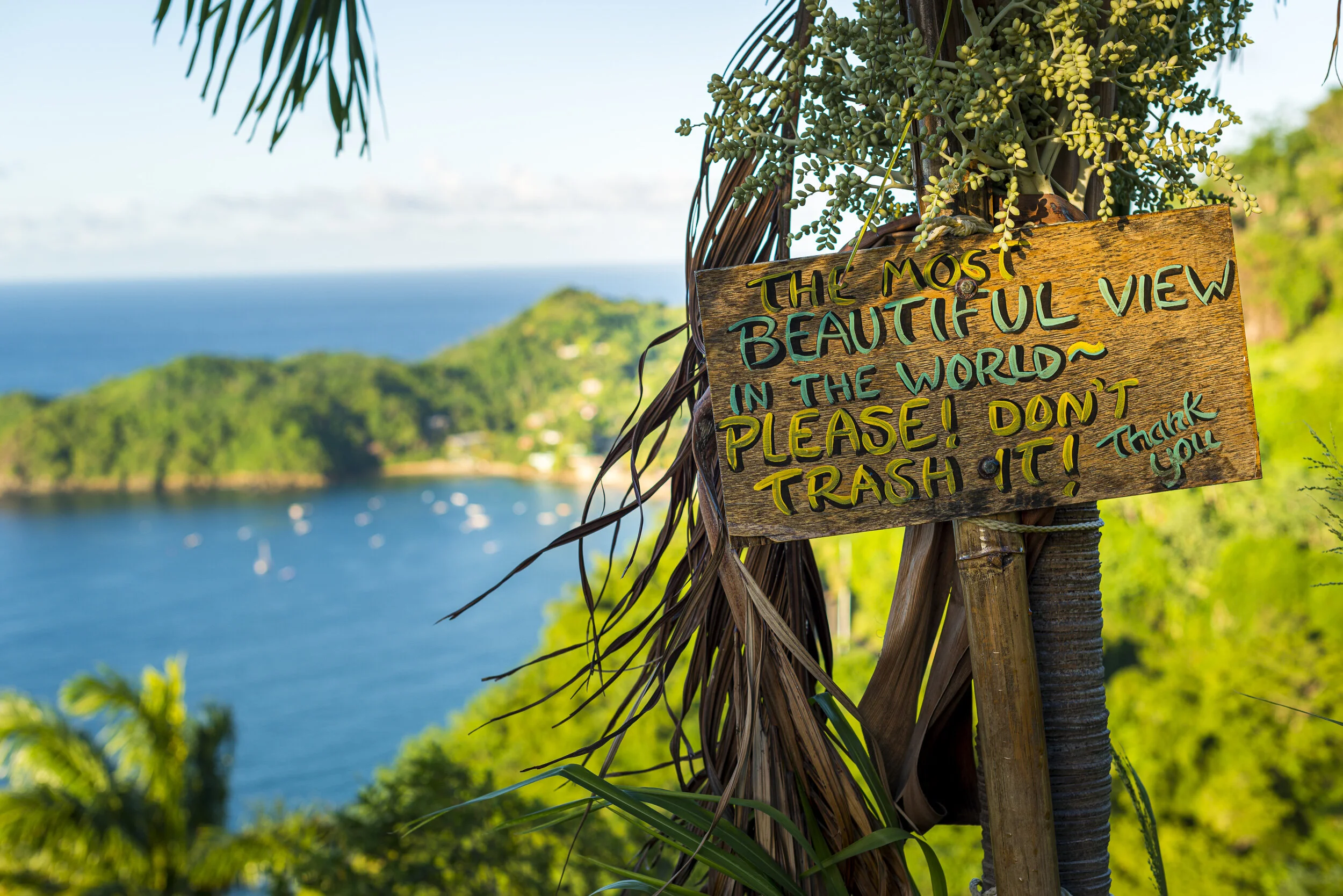 151107_Alex_Treadway_Trinidad and TobagoDSC_2616.jpg