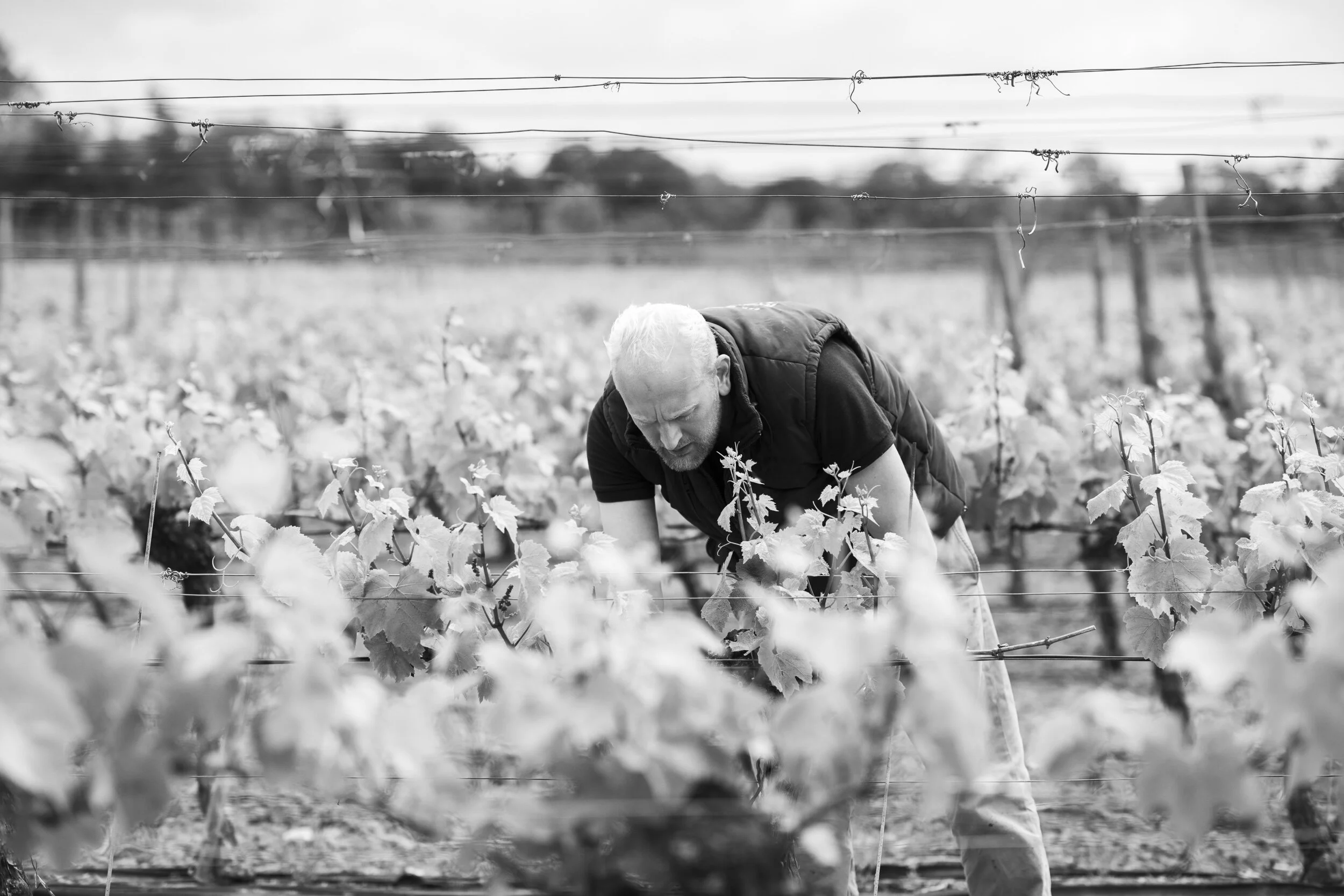 150610_Alex_Treadway_United KingdomDSC_2747.jpg