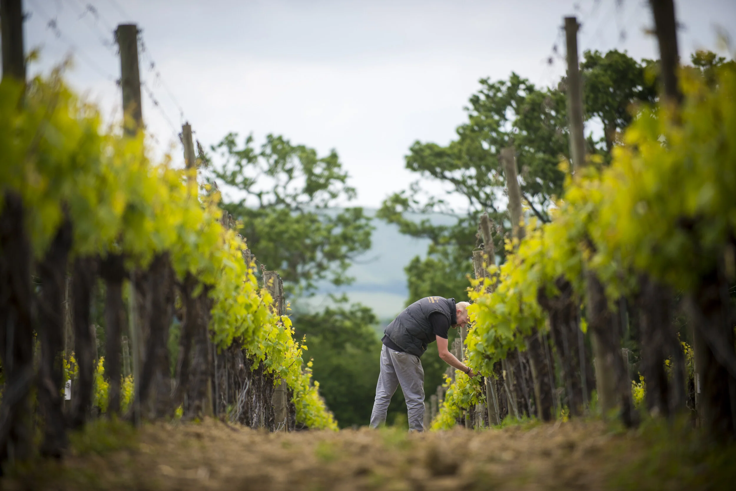 150610_Alex_Treadway_United KingdomDSC_2781.jpg