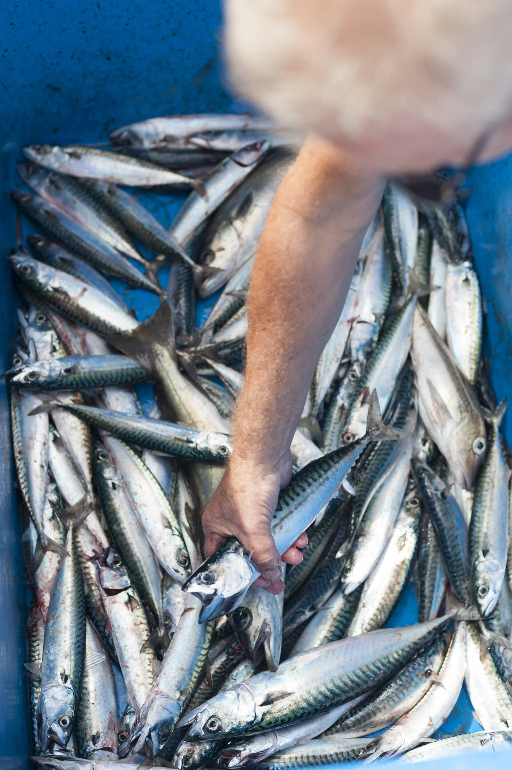 130901_Alex_Treadway_United Kingdom_DSC6109.jpg