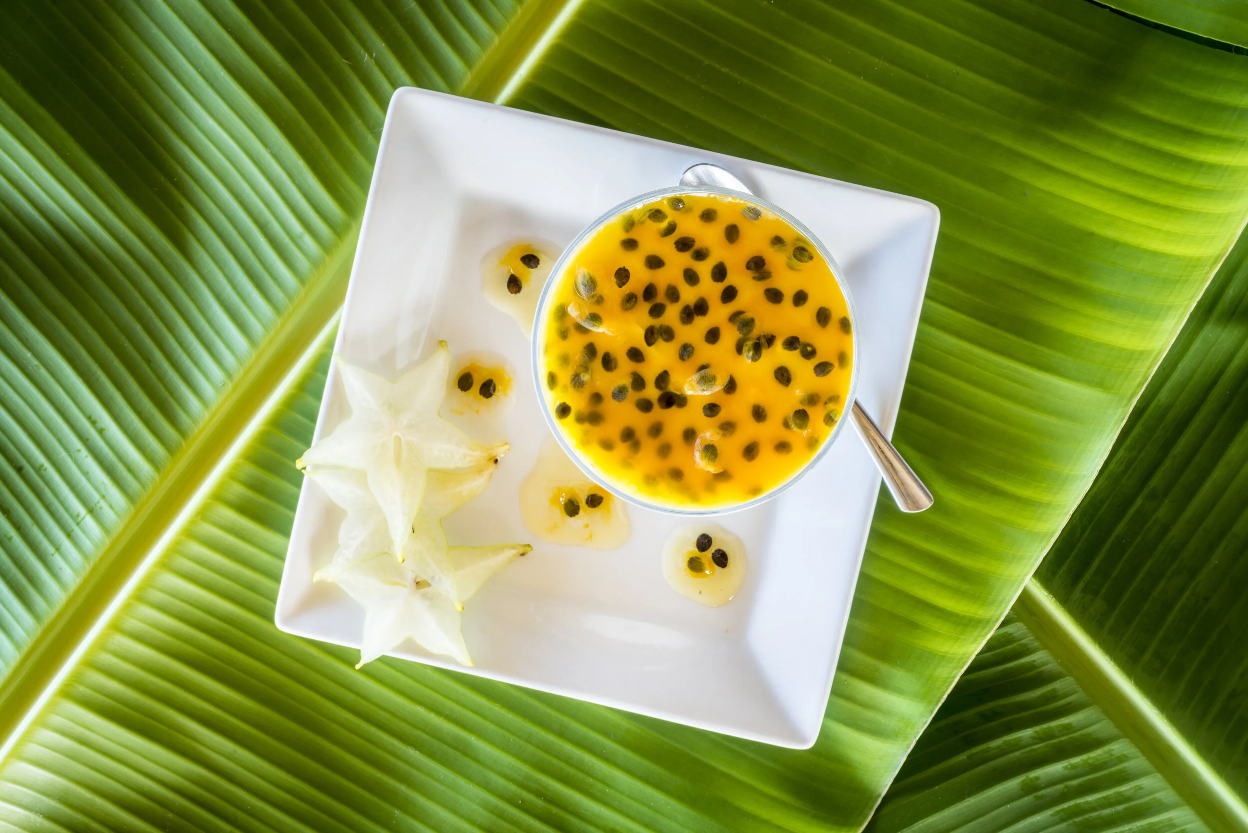 151121_Alex_Treadway_Trinidad and TobagoDSC_7230.jpg