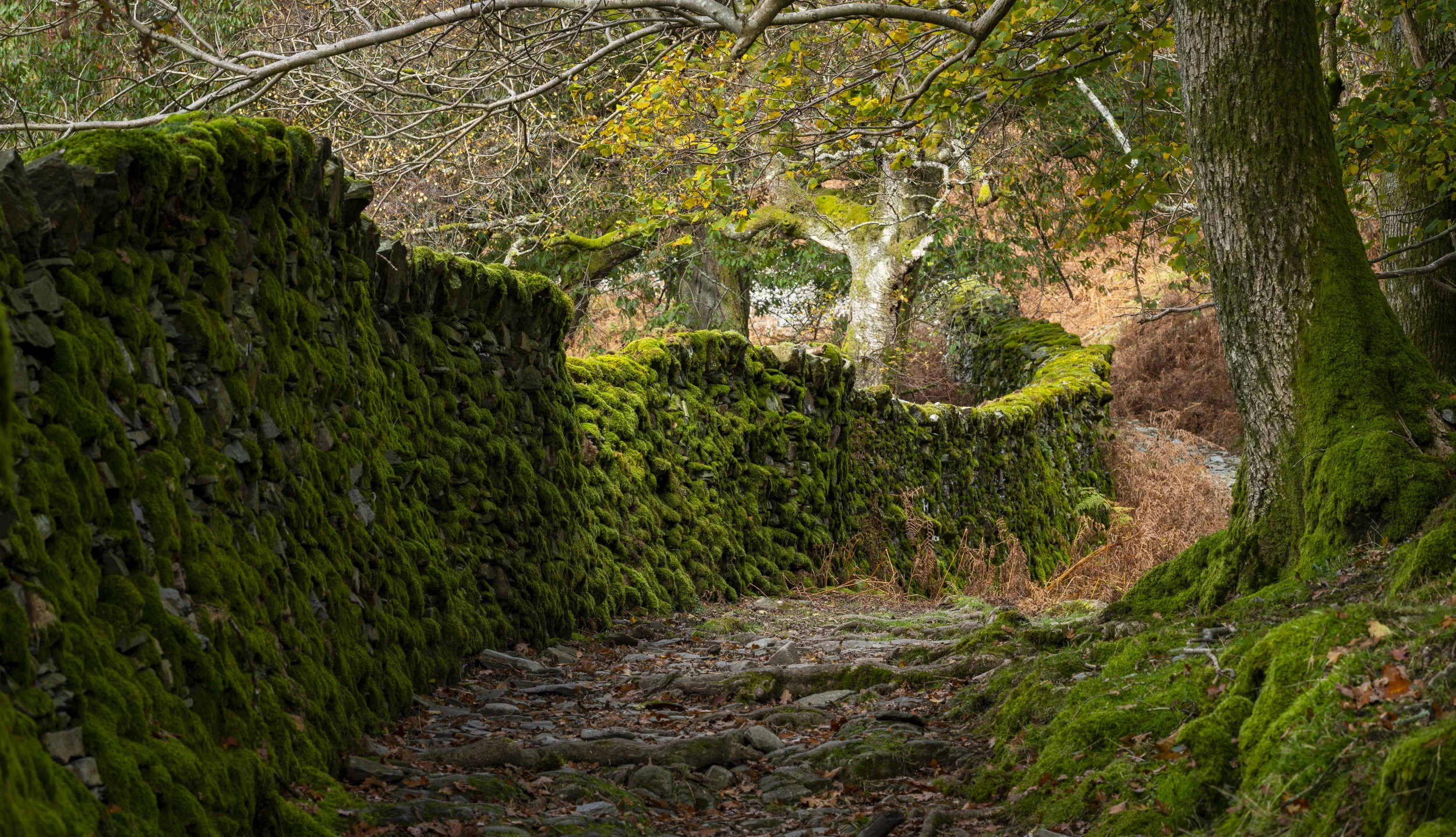 191019_Alex_Treadway_United Kingdom_DSC6493-Pano.jpg