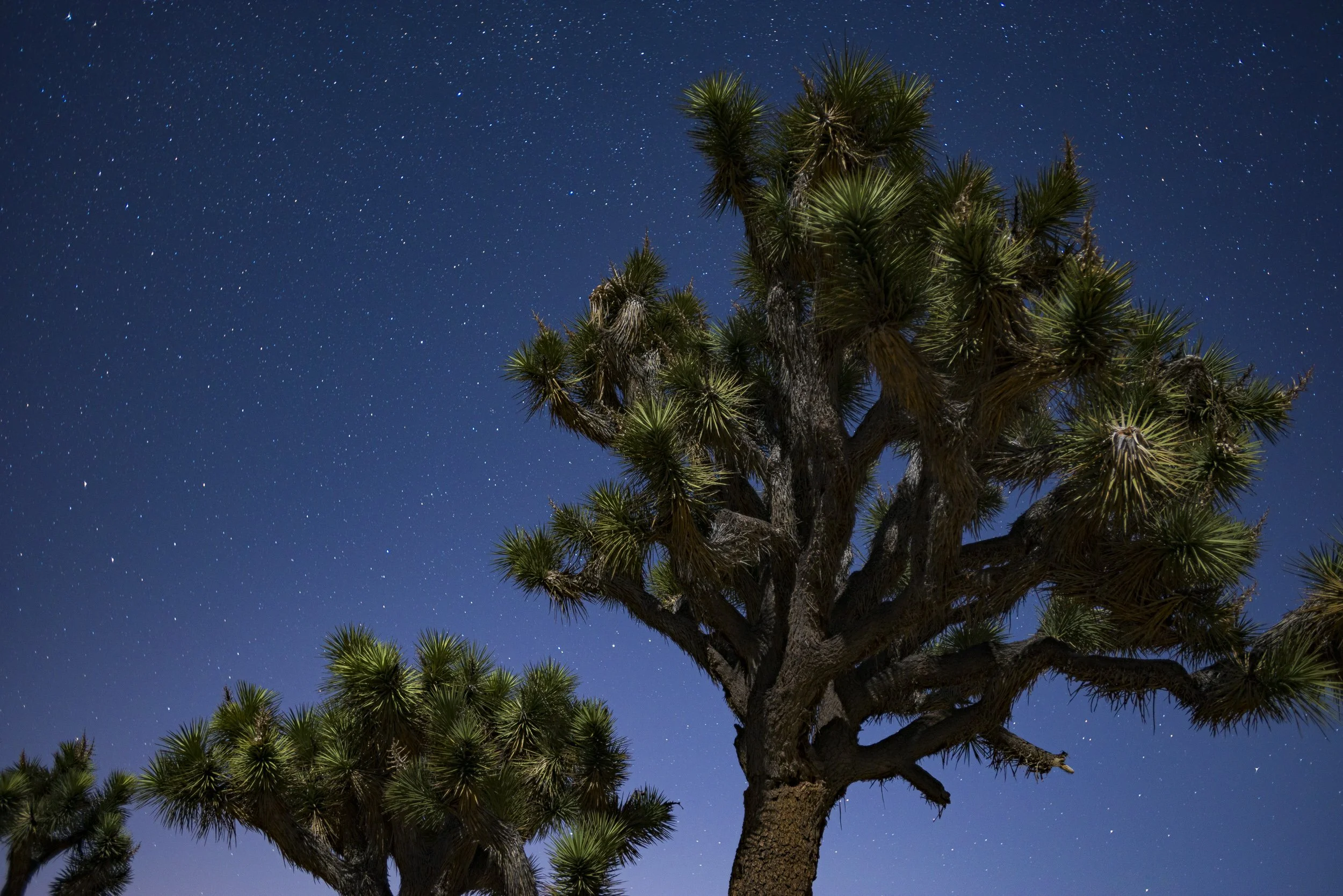 171127_Alex_Treadway_United States_DSC9913.jpg